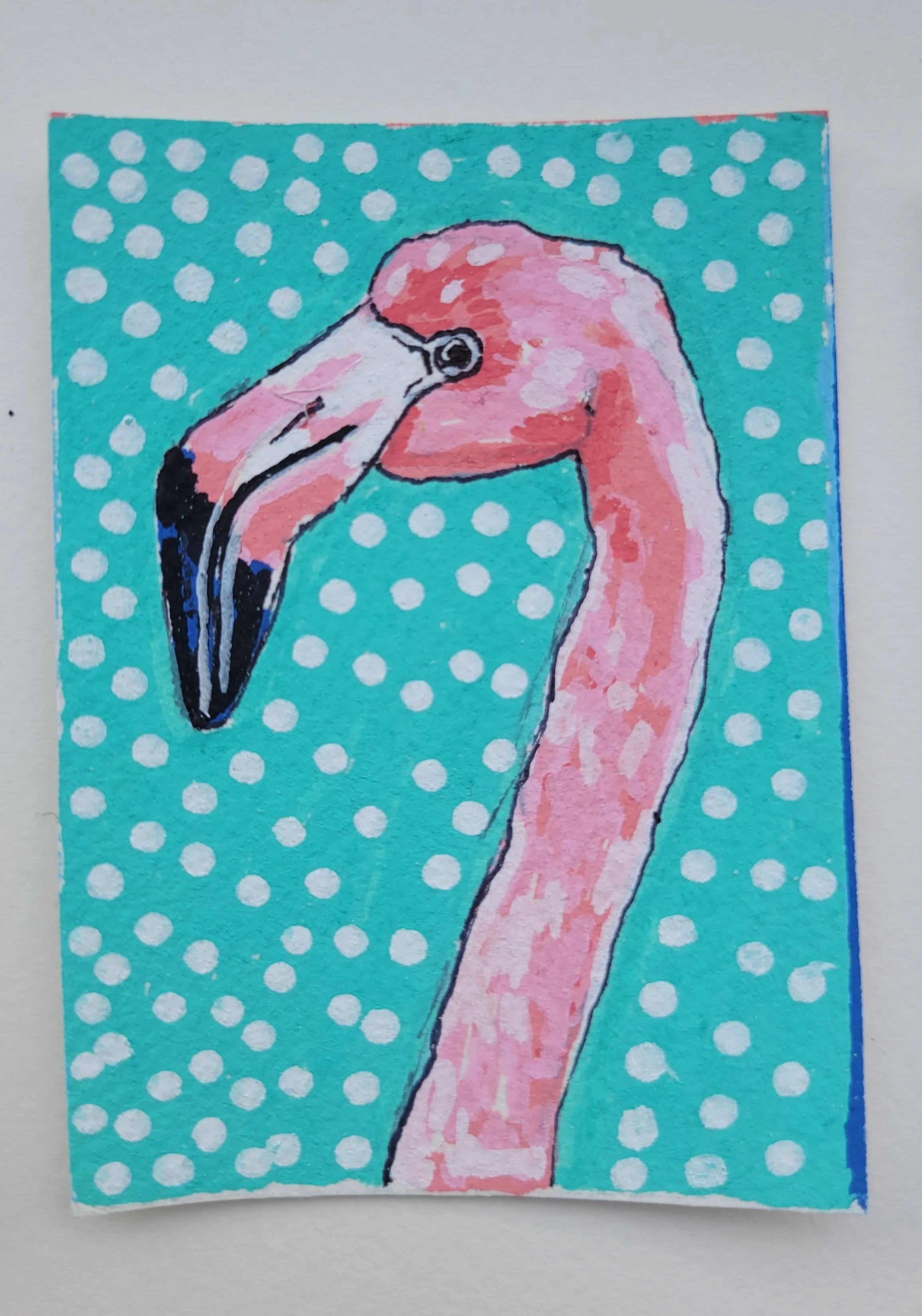 Flamingo Study- ACEO