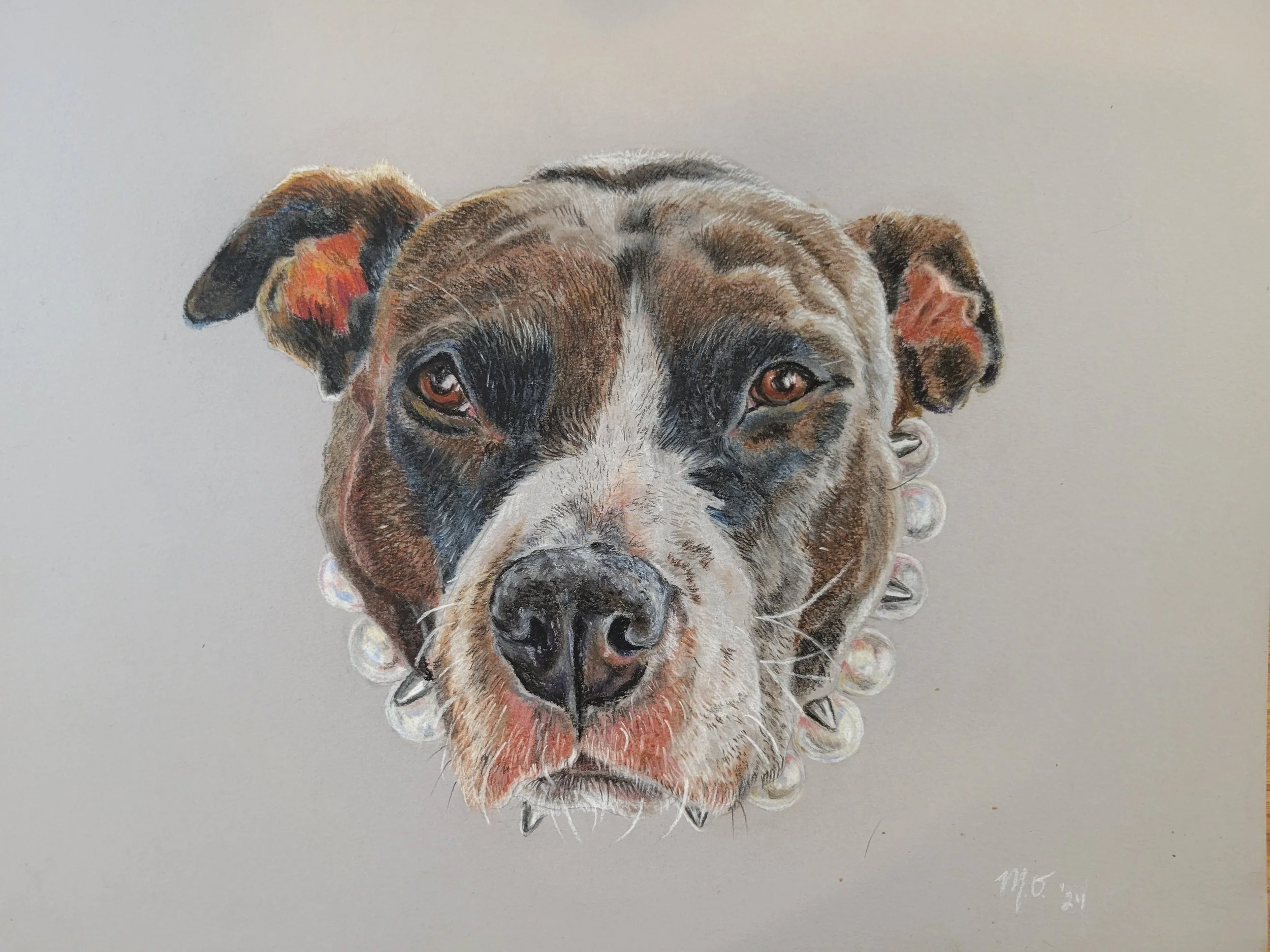 Colorful realistic portrait of a dog with a spiked collar, facing forward, on a plain background.