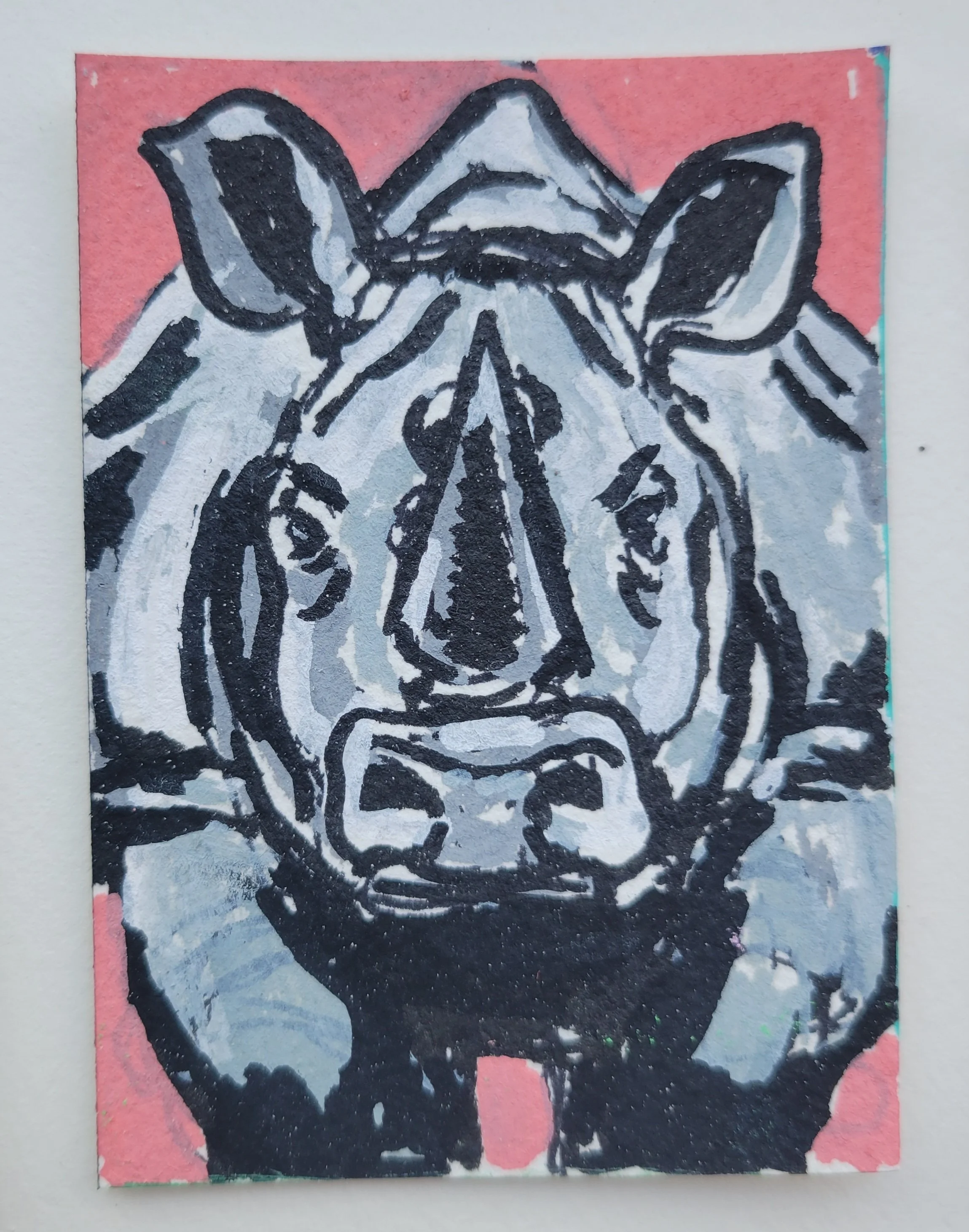Rhinoceros Study- ACEO