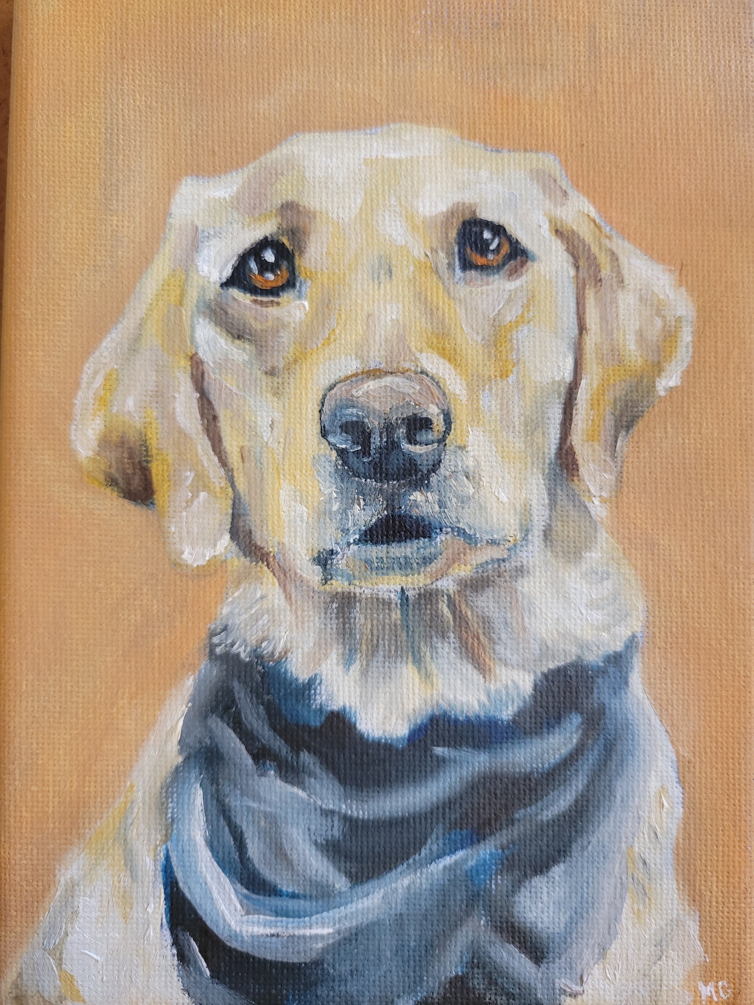 Labrador I, 5"x7", Oil on Canvas 
SOLD