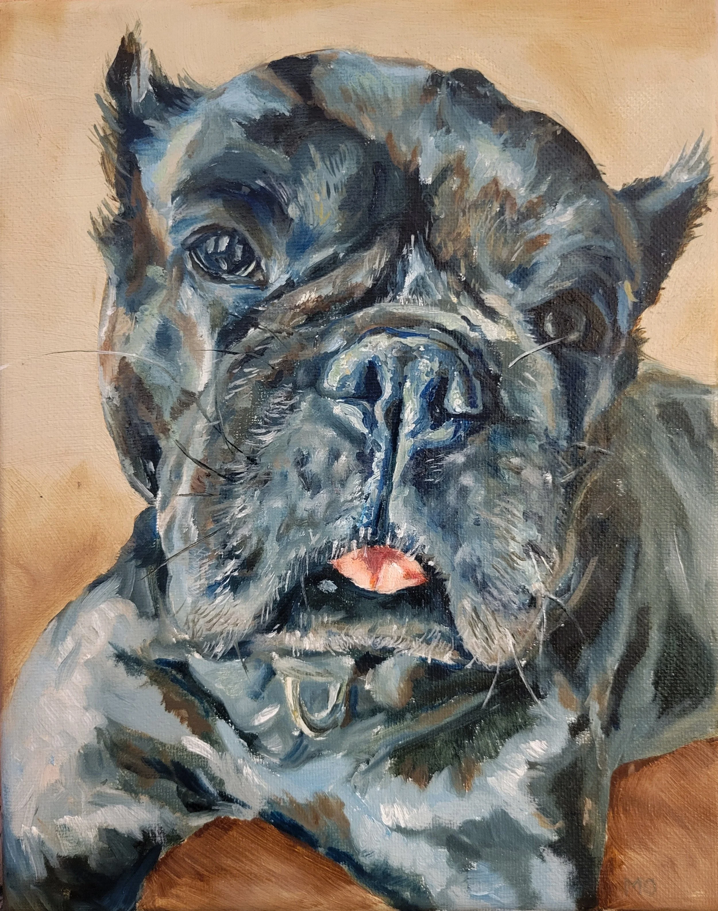 Black Terrior, 8"x10", Oil on Canvas 
SOLD