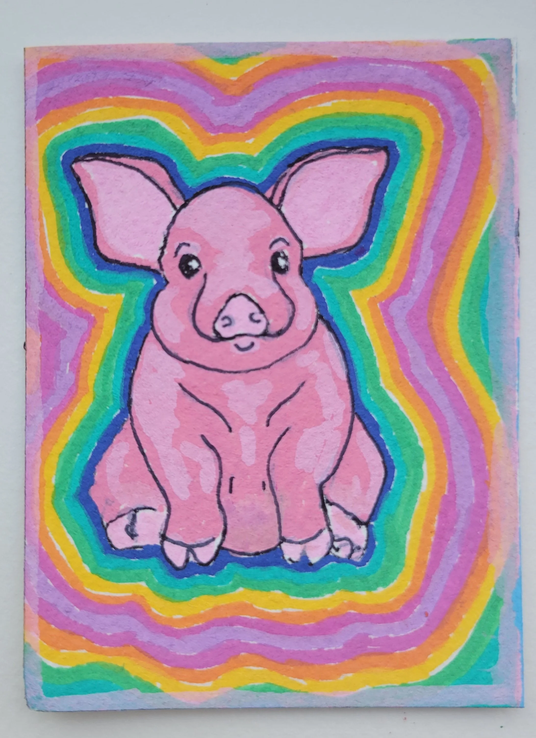 Pig Study- ACEO