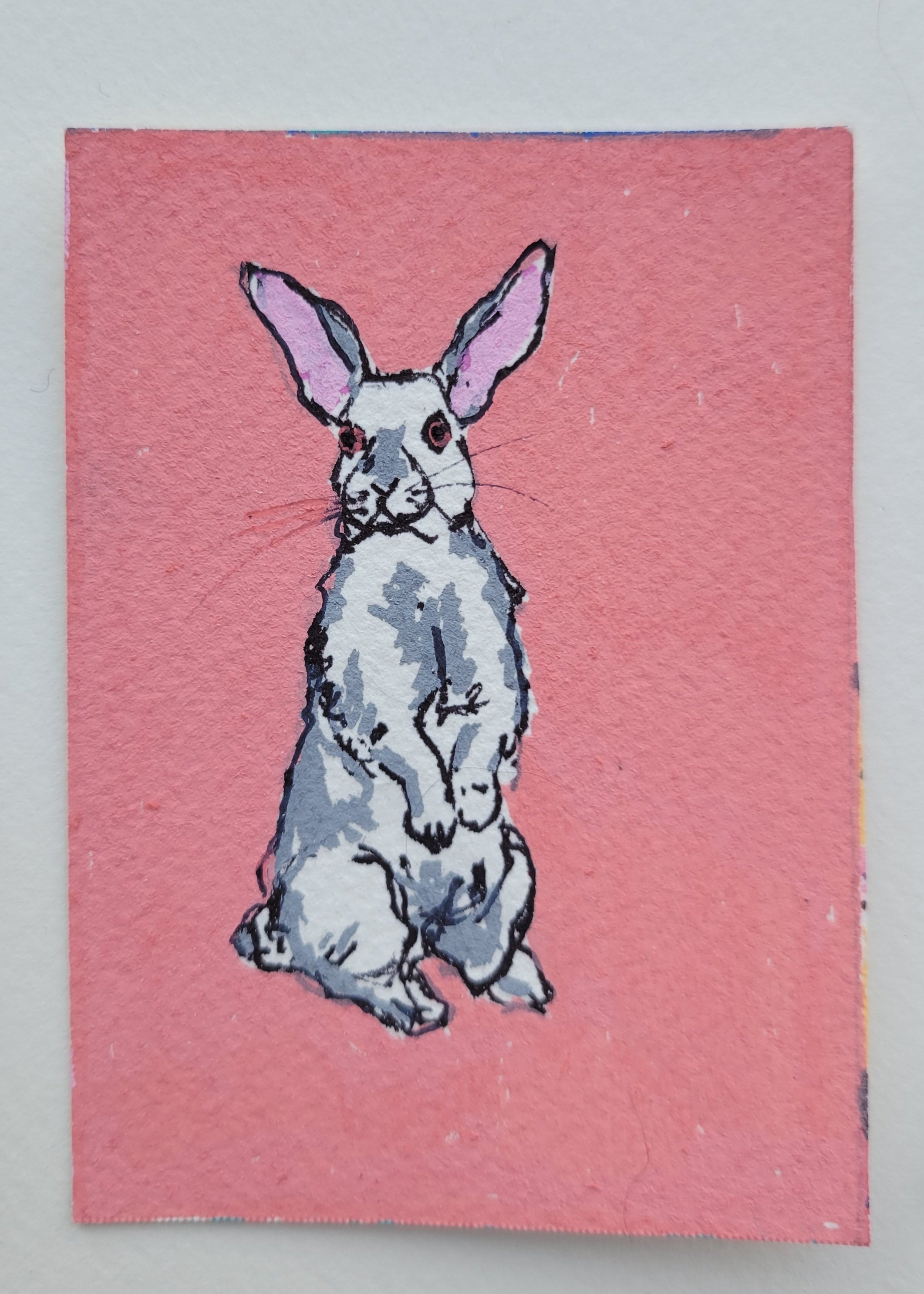 Rabbit Study- ACEO
