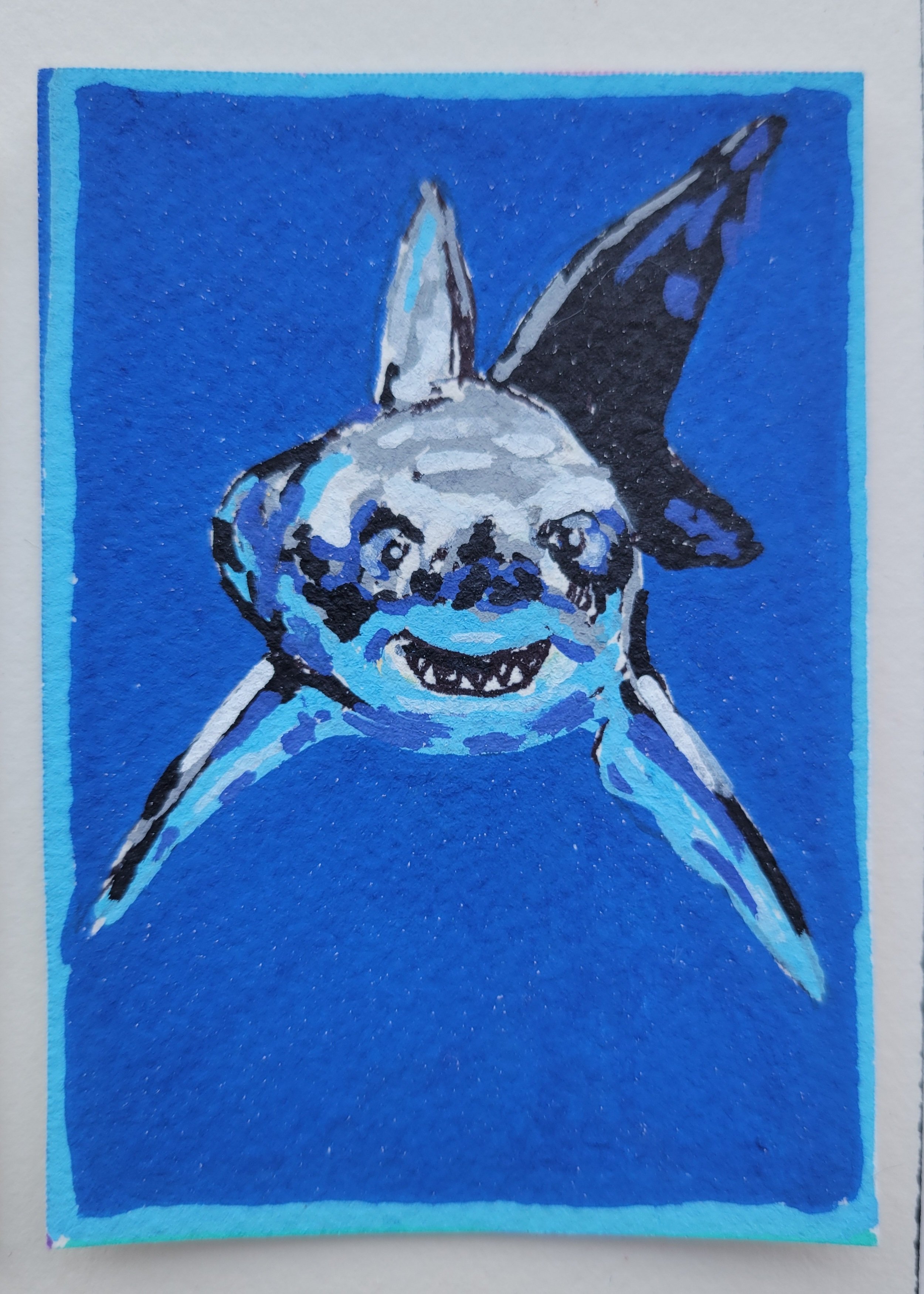 Shark Study- ACEO