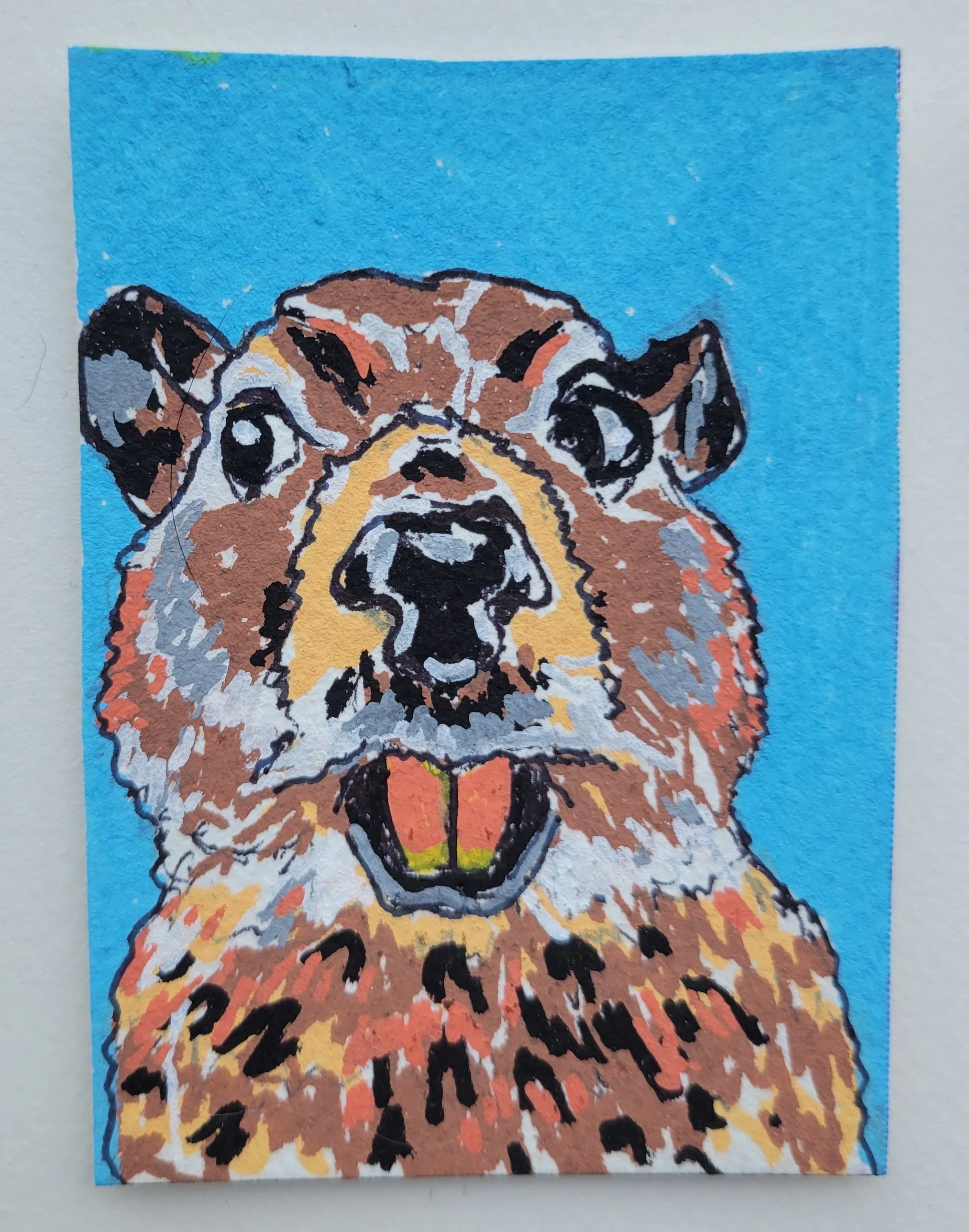 Side Eye Beaver Study- ACEO