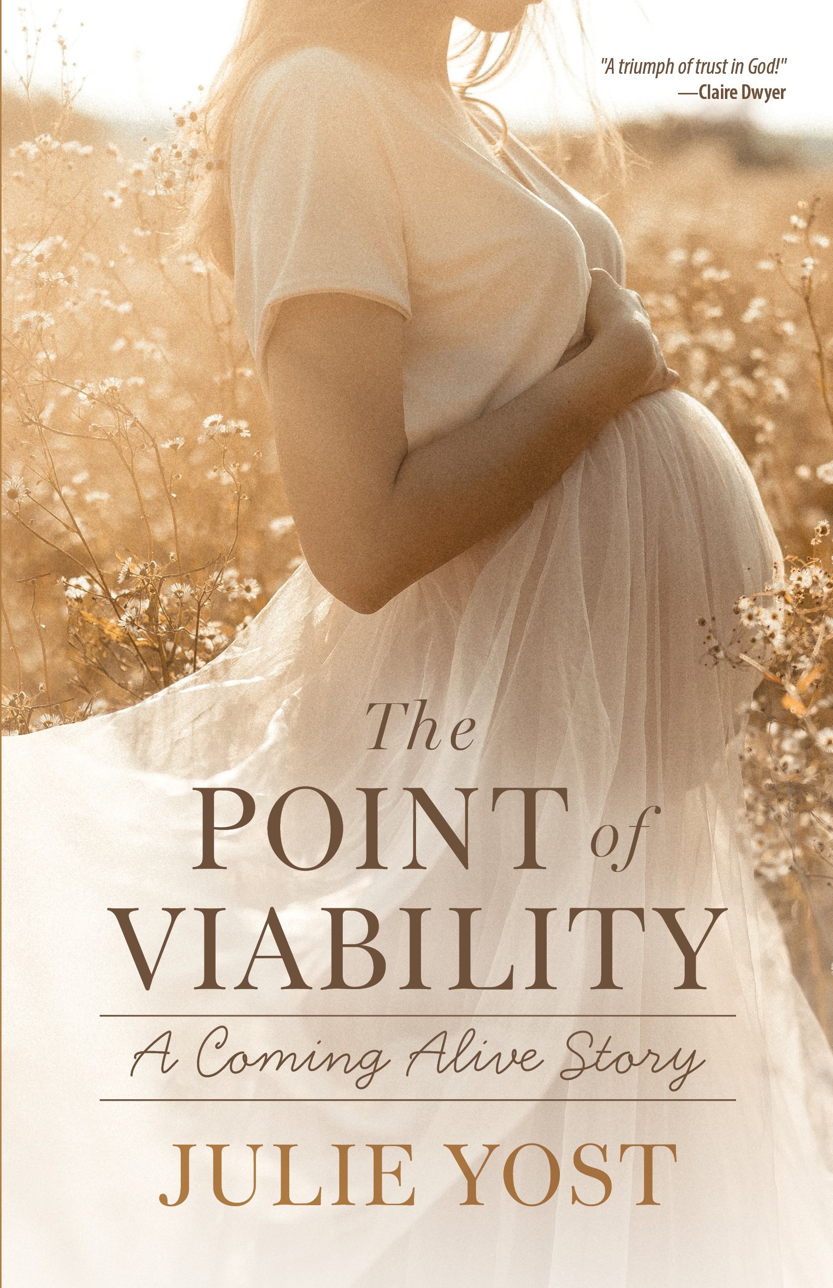 "The Point of Viability: A Coming Alive Story" book cover