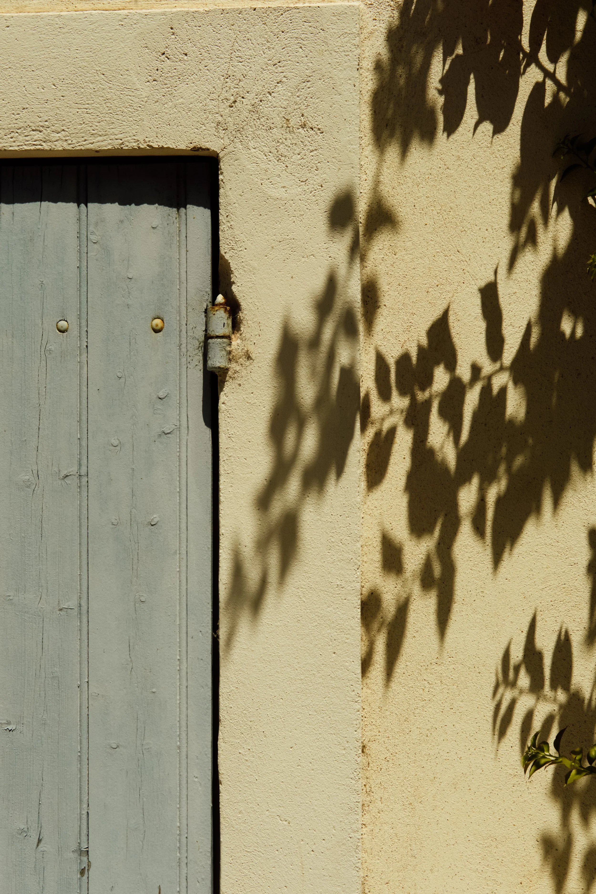Wall with a small window and shadow of a leafy plant falling on it.
