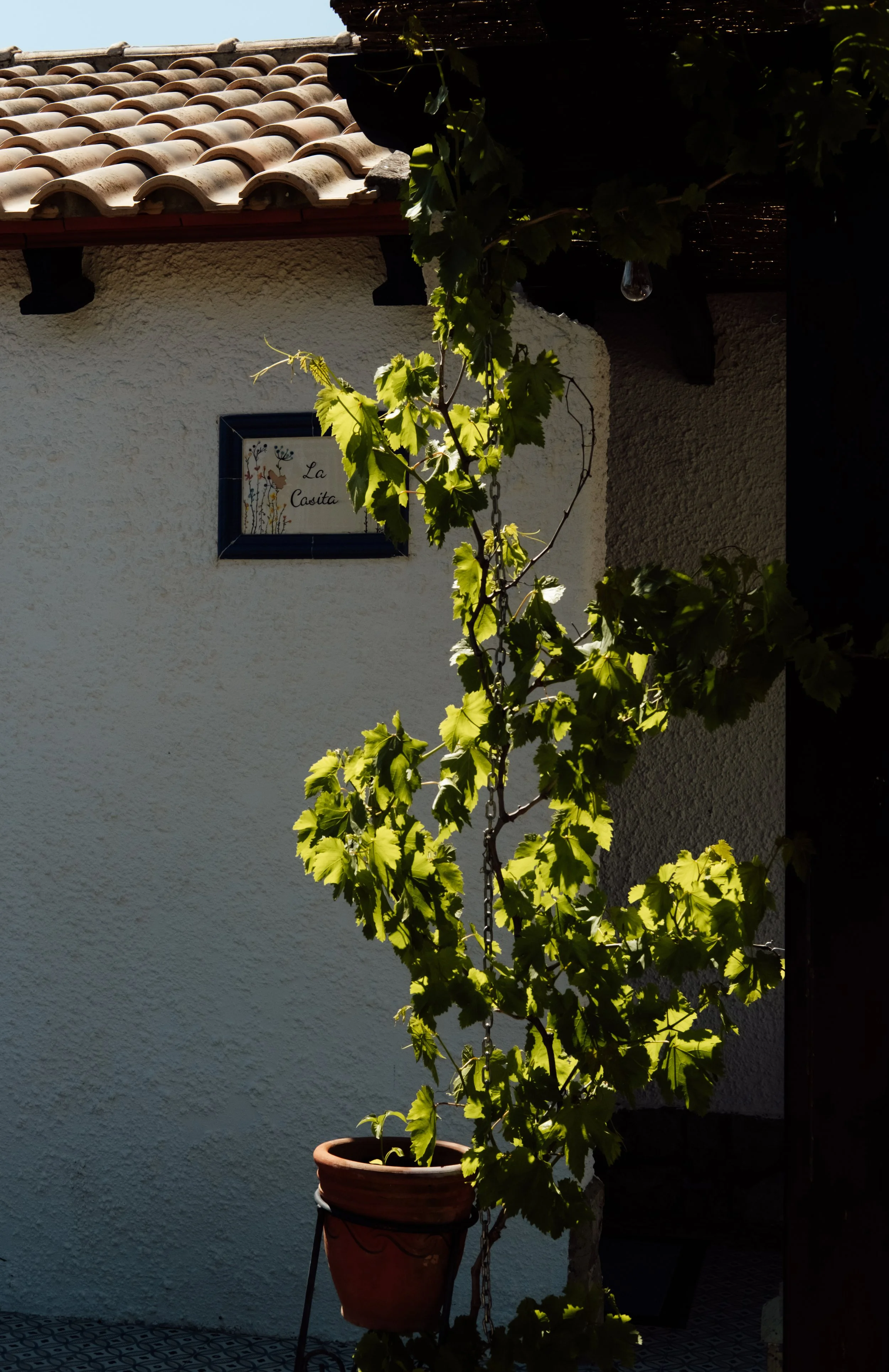 Brand photography in Valencia