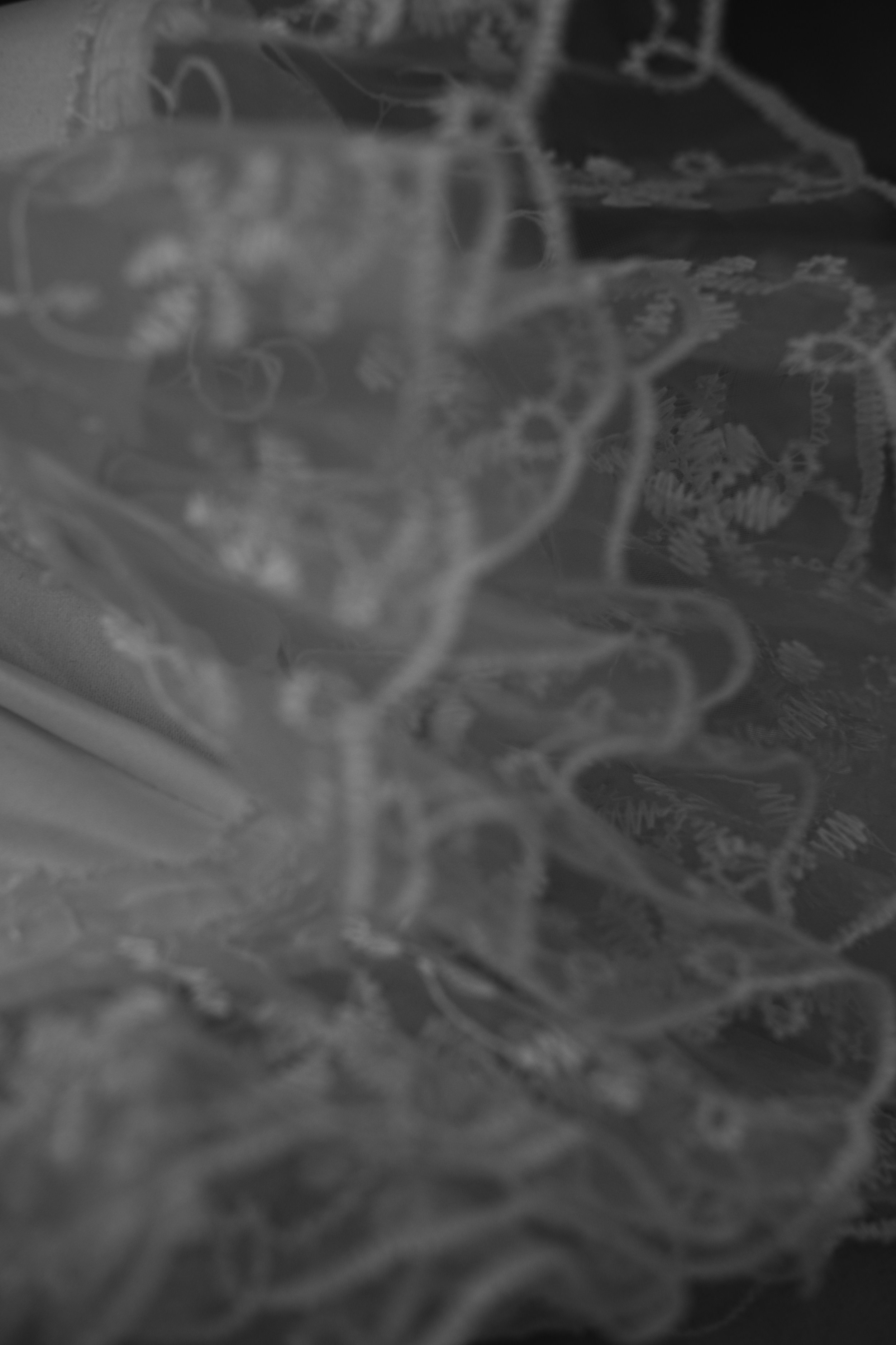 Black and white close-up photograph of a glass container or decorative item with intricate, blurred floral or organic patterns in the background.