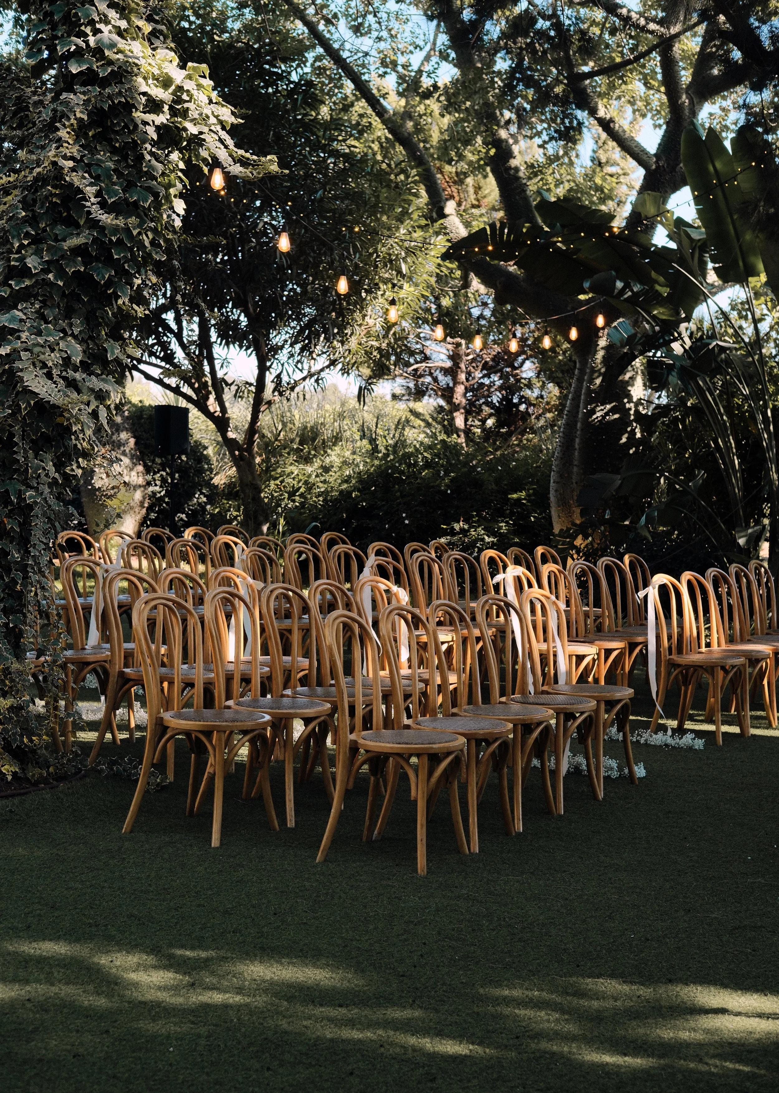 Empty wooden chairs arranged in rows outdoors for a wedding or event, with trees and string lights overhead.