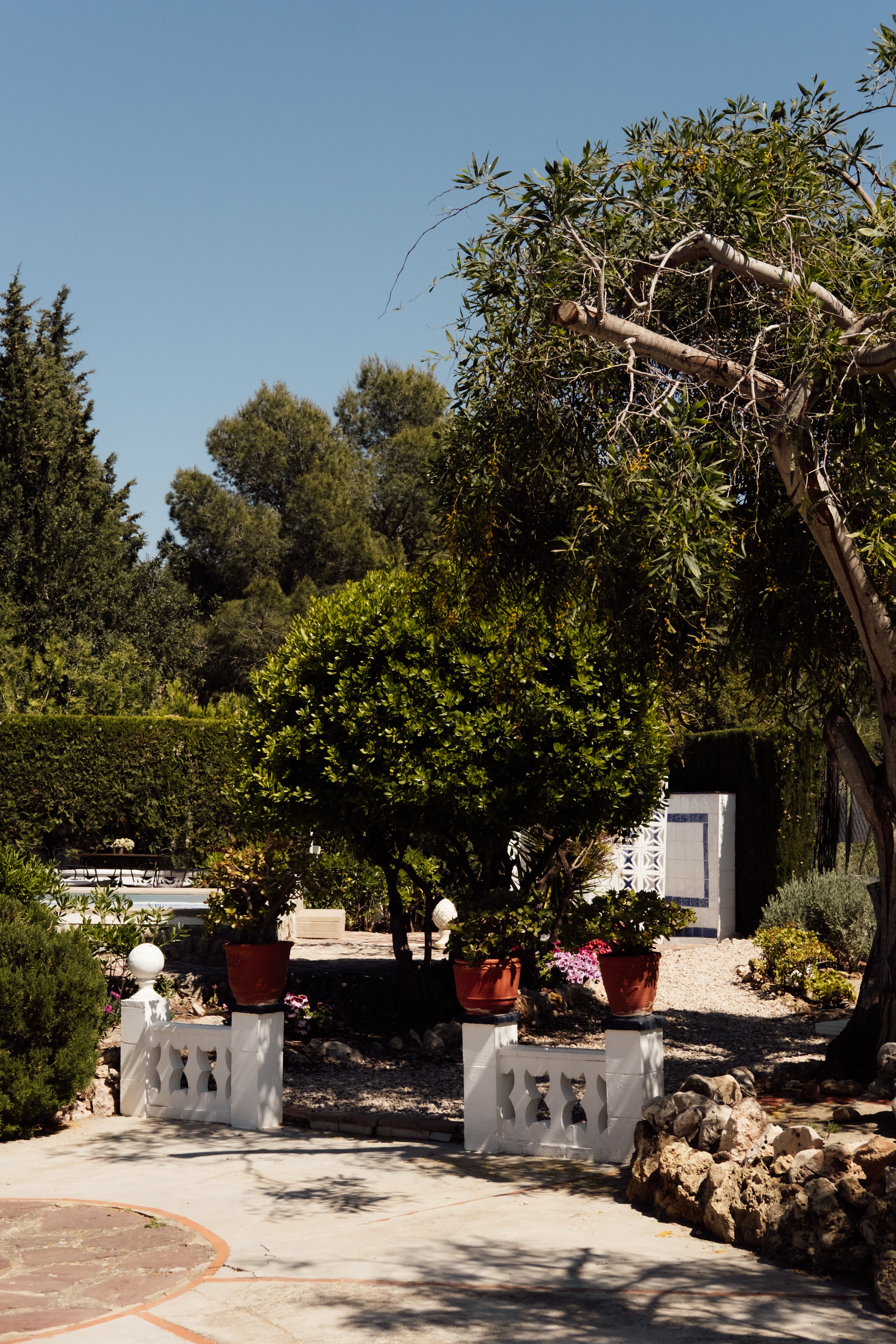 Brand photography in Valencia