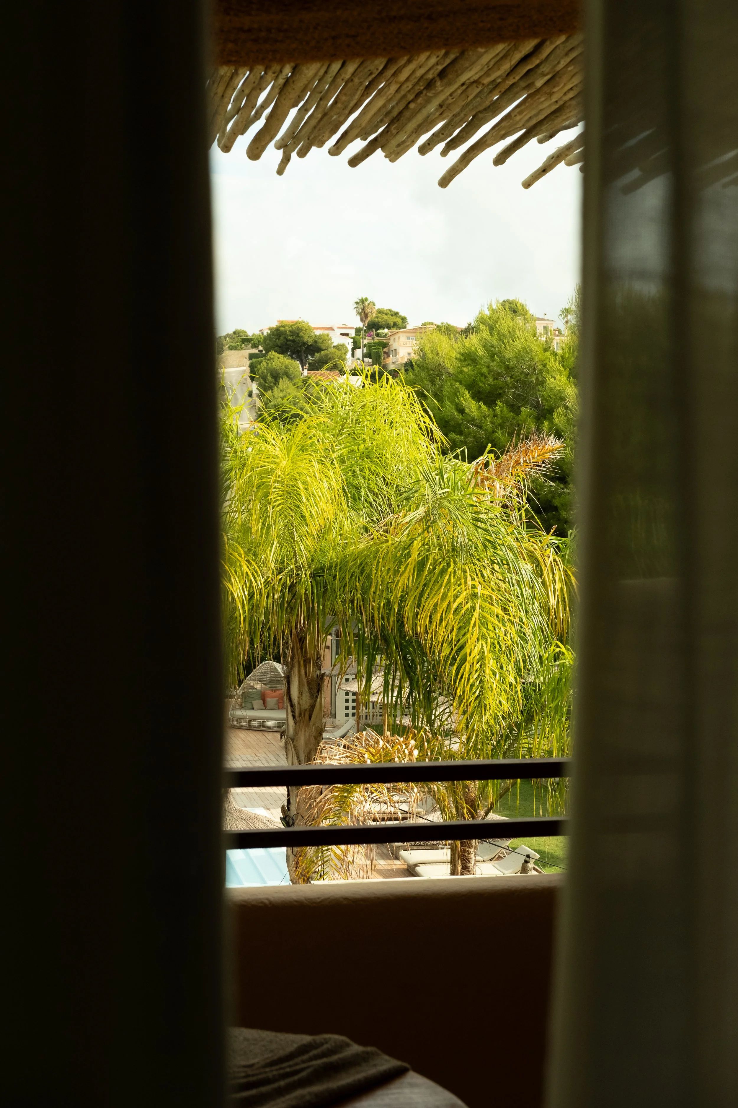 View of a backyard with palm trees, lounge chairs, and a swimming pool, seen through window blinds from an indoor perspective.