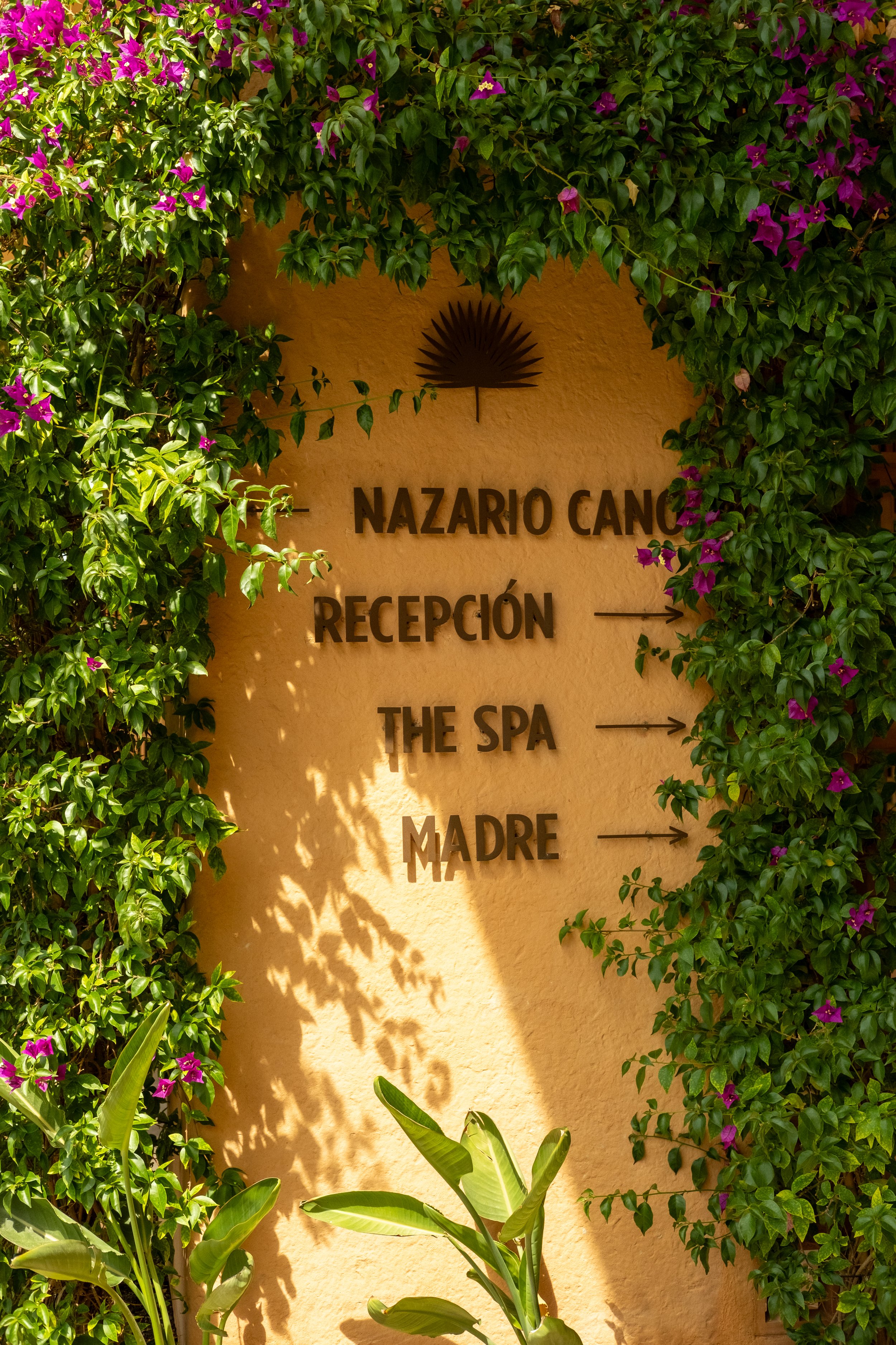 A yellow wall with metal signs indicating directions to NaSario Cance, Recepción, The Spa, and Madre, surrounded by green vines and purple flowers.