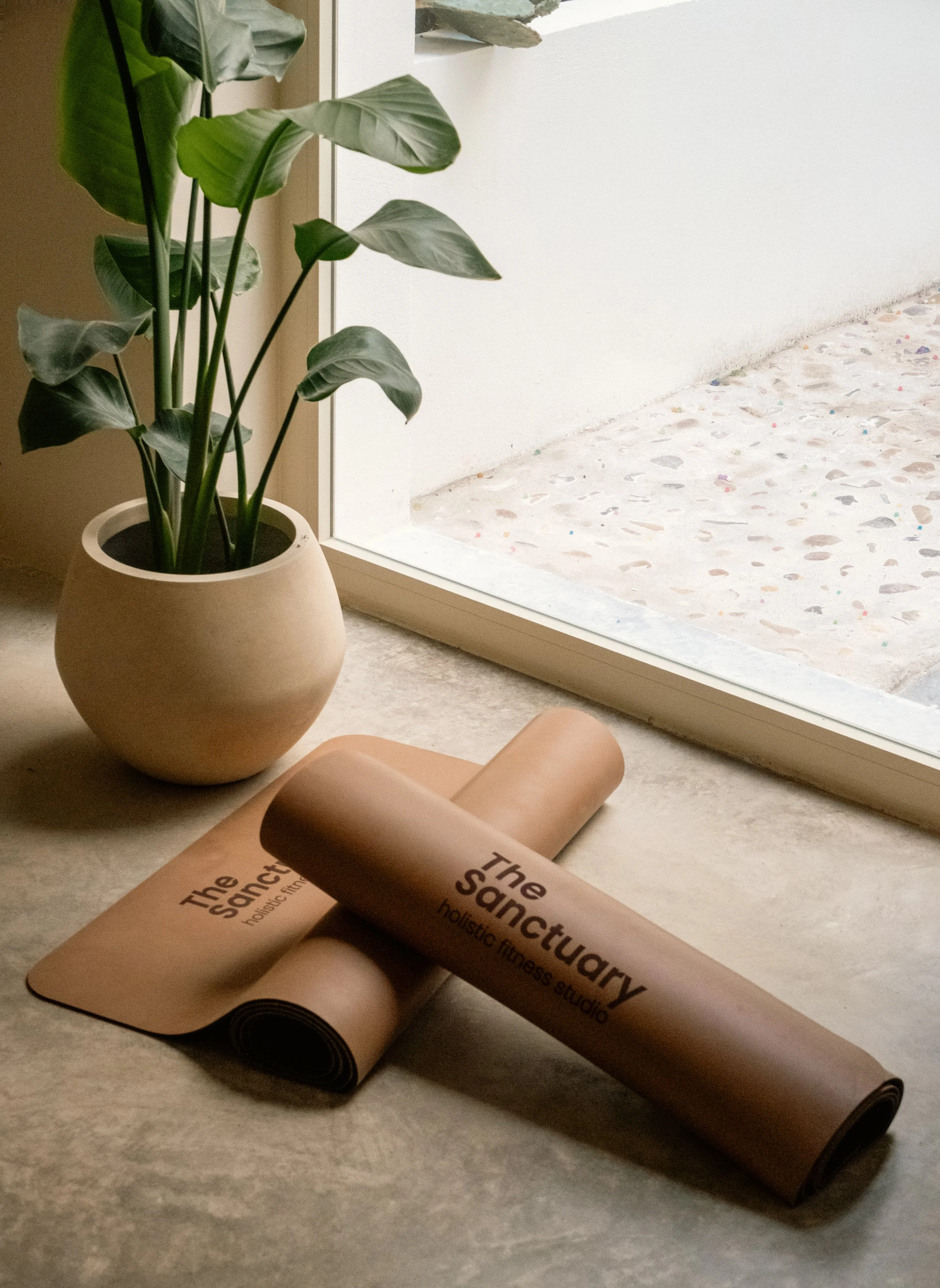 Pilates mat and plants in a pilates studio