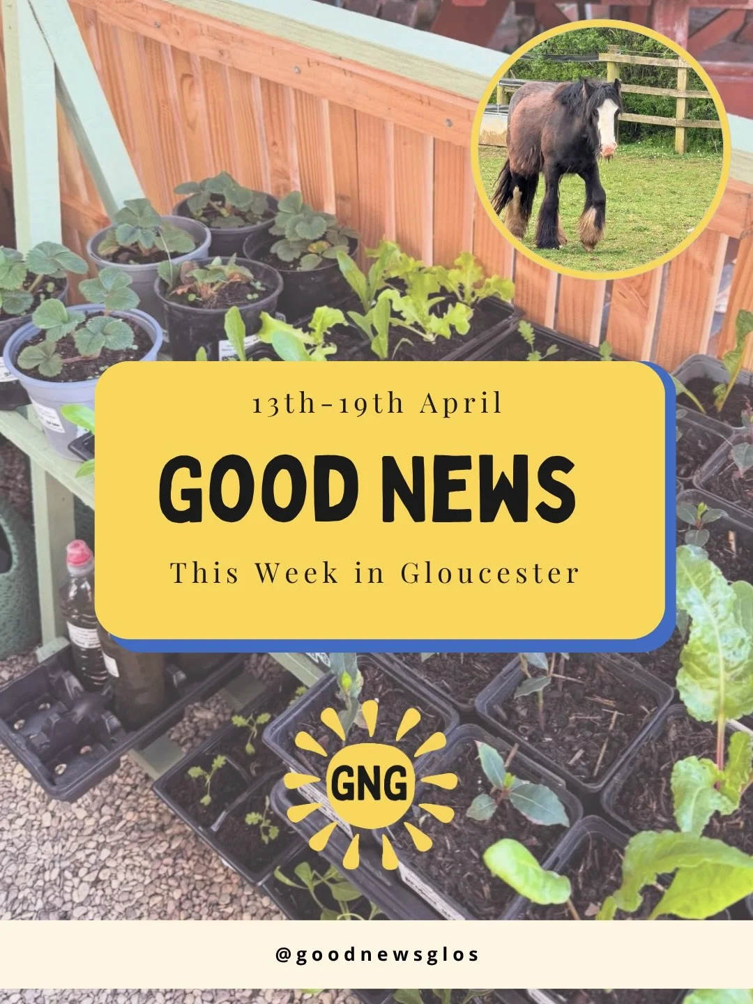Gloucester&rsquo;s good news, all in one place ☀️

This is just the highlights, if you want the full week&rsquo;s round-up, visit our website for weekly email updates🌤️

Link in bio📰 #goodnewsglos