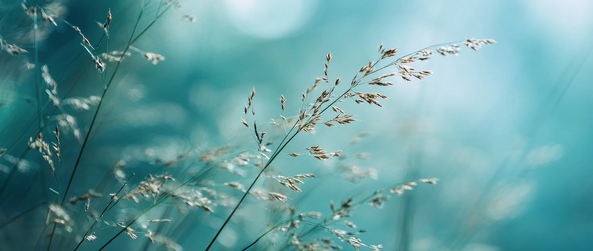 Praxis Marianne Kittel für Psychoanalyse, Psychotherapie und Gruppentherapie in Berlin-Charlottenburg