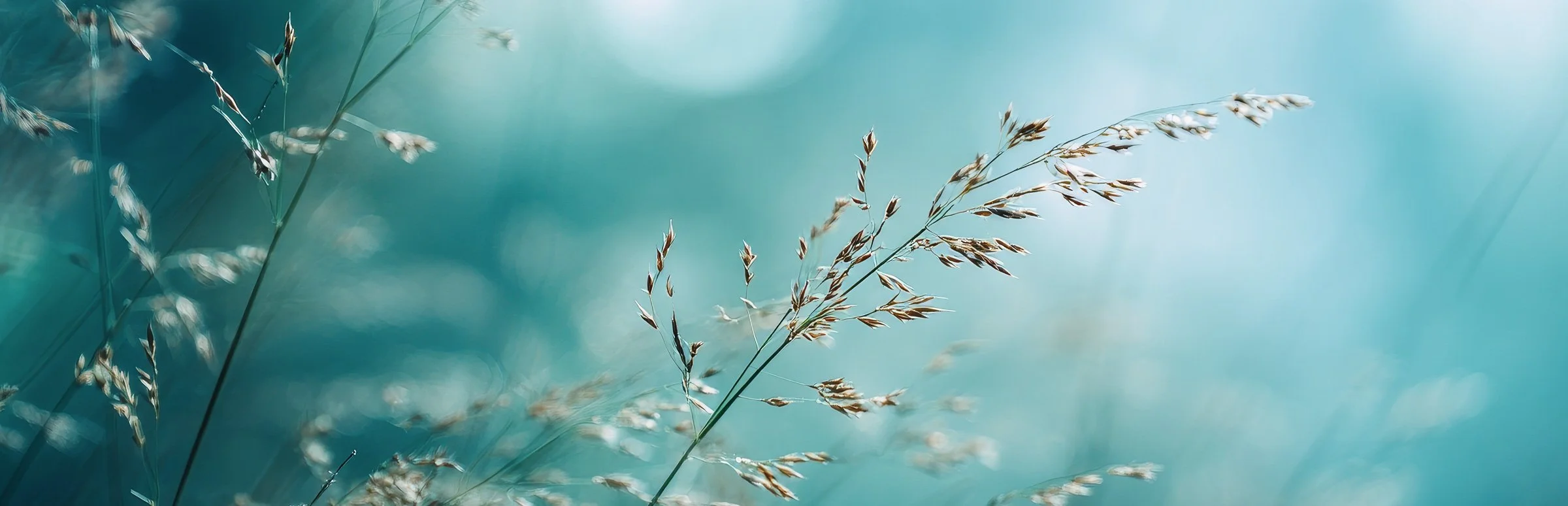Häufige Fragen zu Psychoanalyse, Psychotherapie und Gruppentherapie in Berlin-Charlottenburg