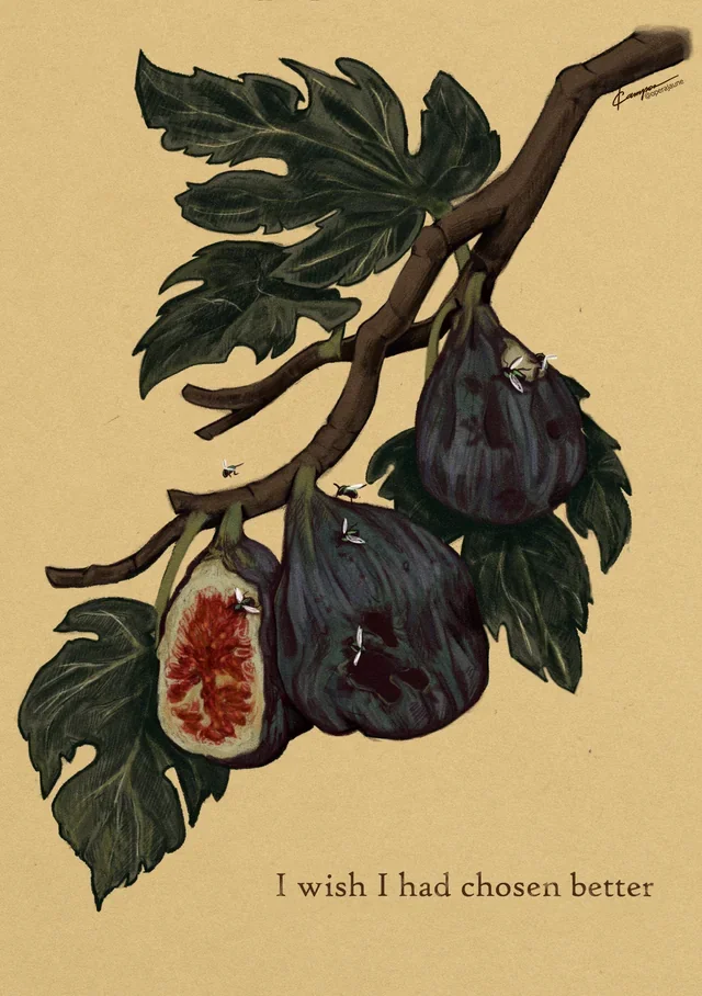 fig tree.webp