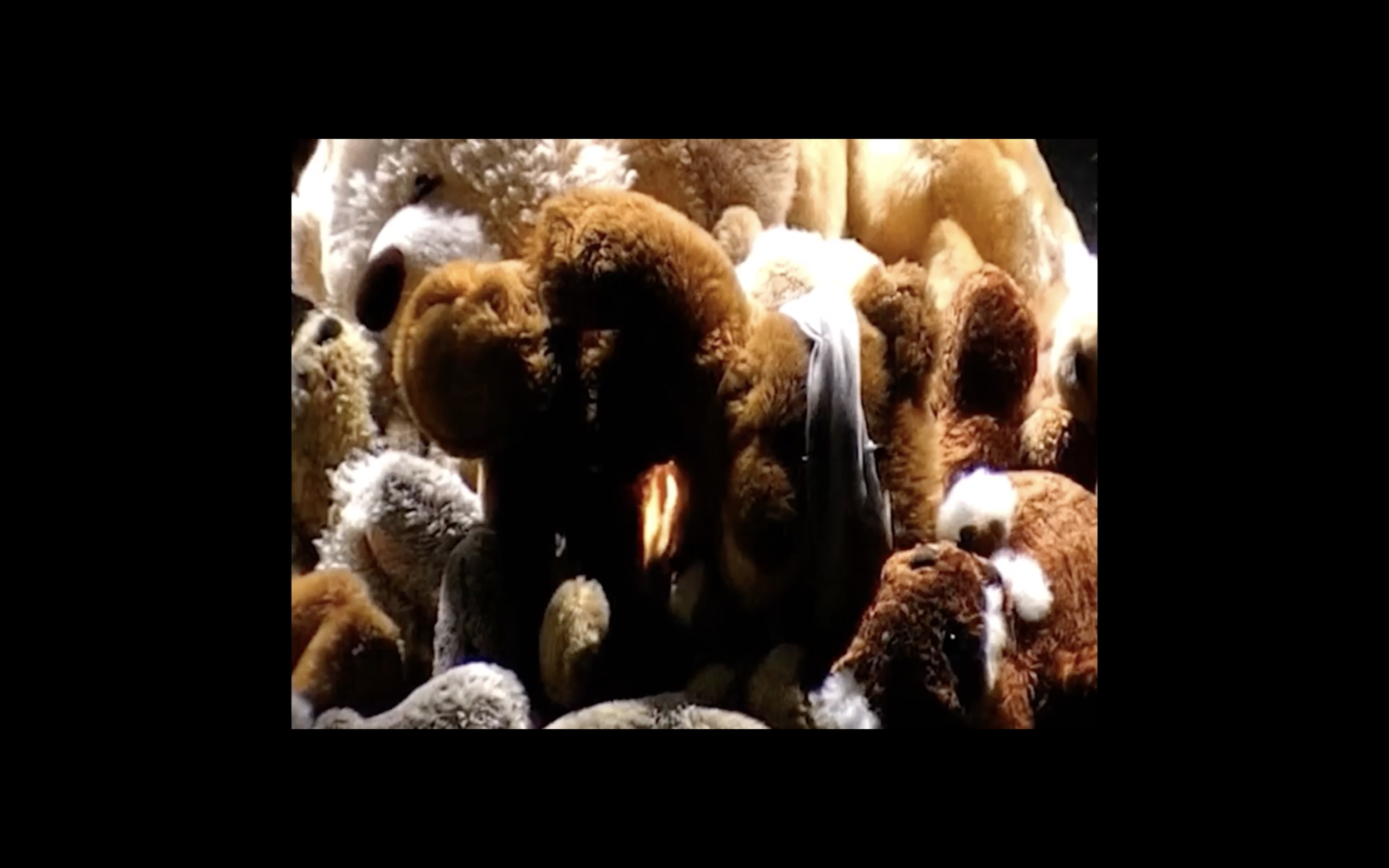 Screenshot 2024-11-22 at 2.03.59 am.png