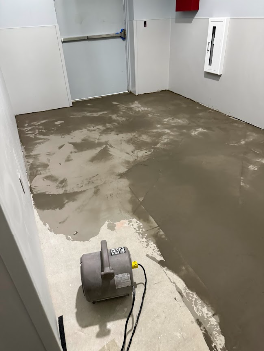 Screenshot 2026-03-21 132958.png