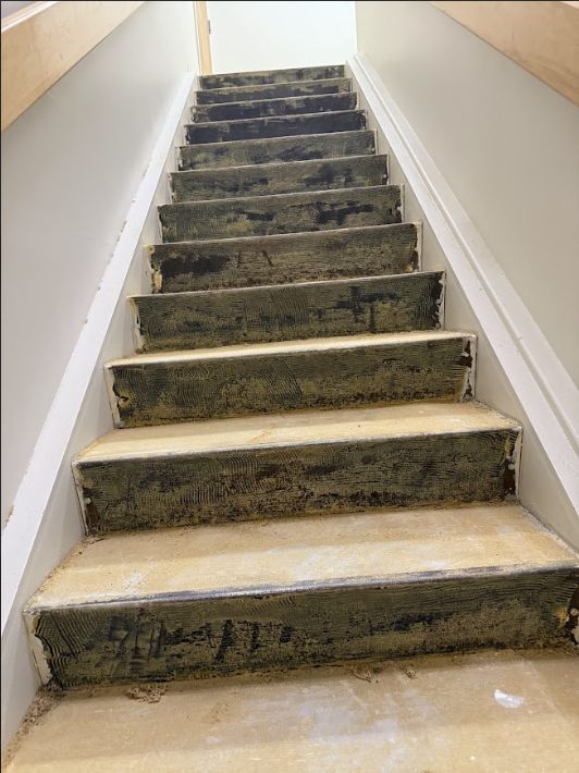 Screenshot 2026-03-21 133729.png