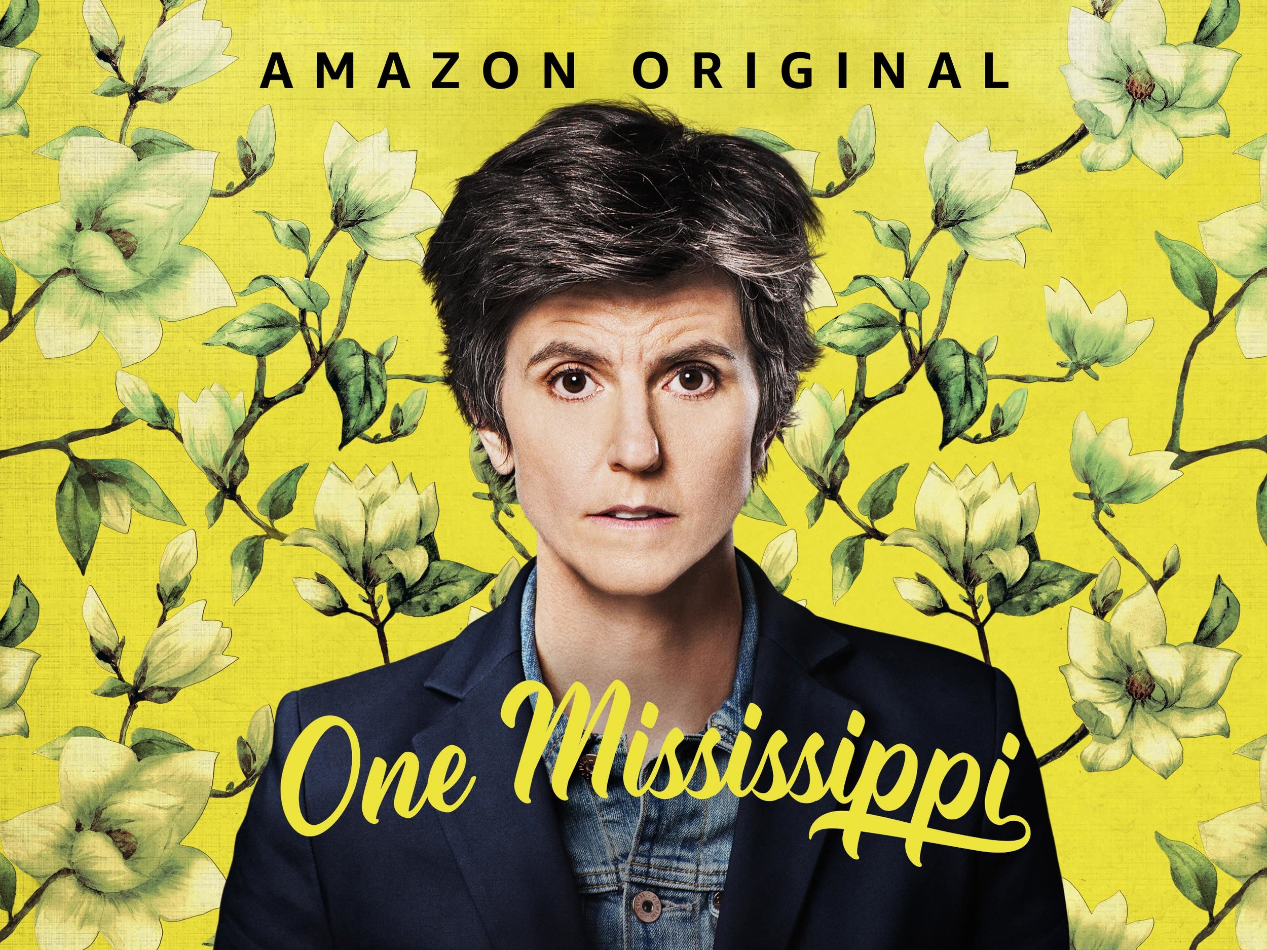 When working at Giant Spoon I worked to position original content series to align with audience motivations. For the launch of Tig Notaro's One Mississippi, I debunked the accepted belief that comedies need to make people laugh. The new truth is that