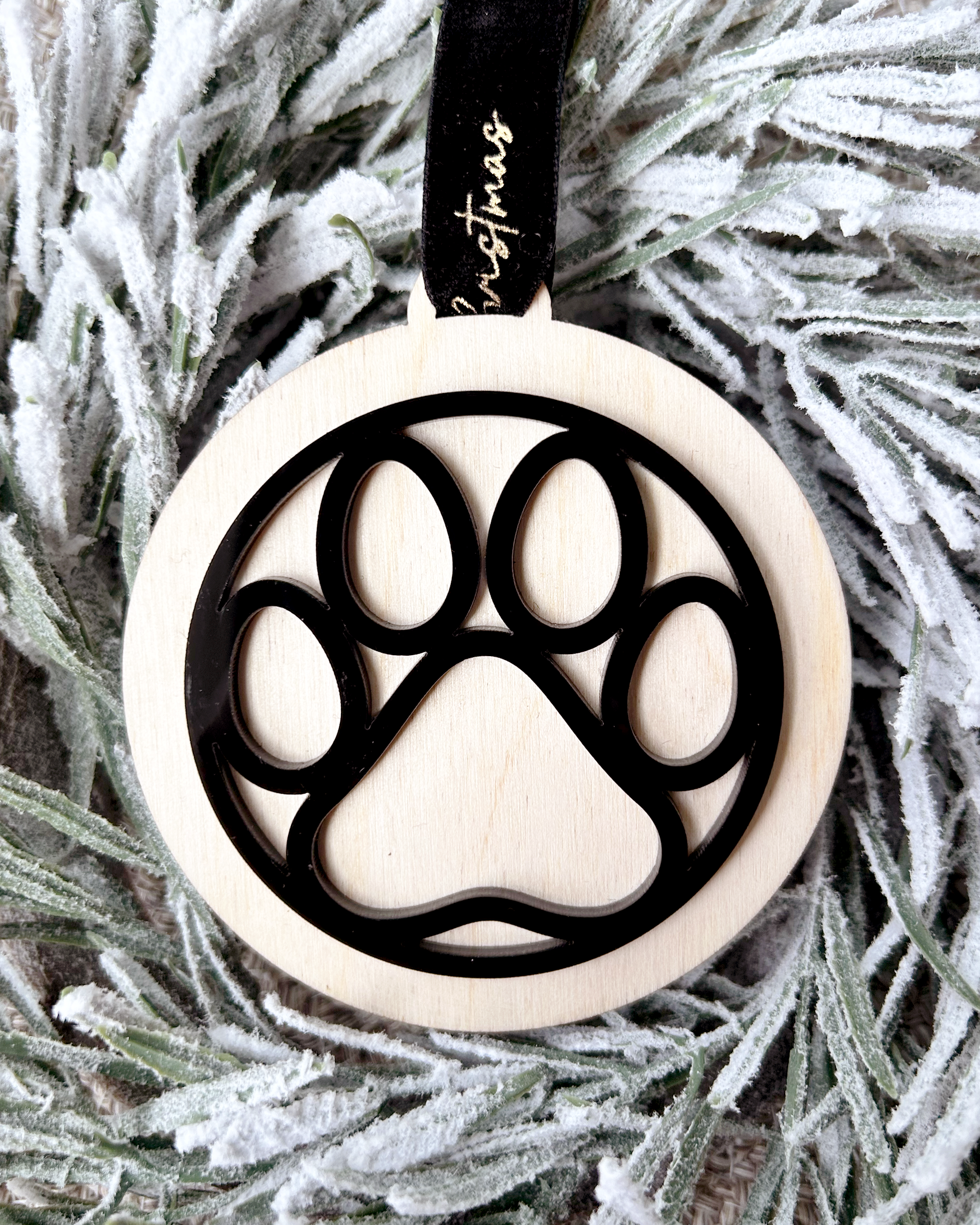 paw.png