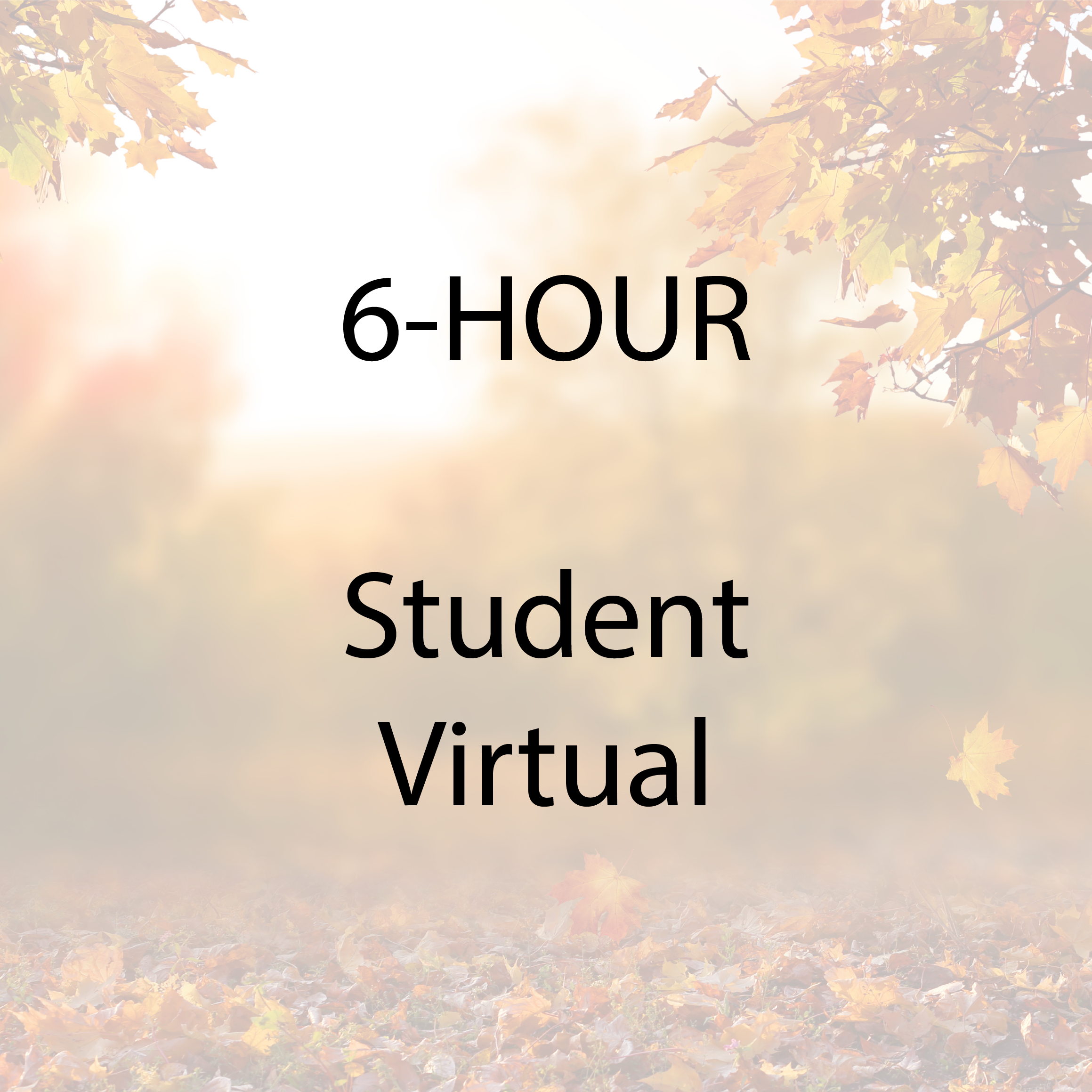 6 stu virt@3x.png
