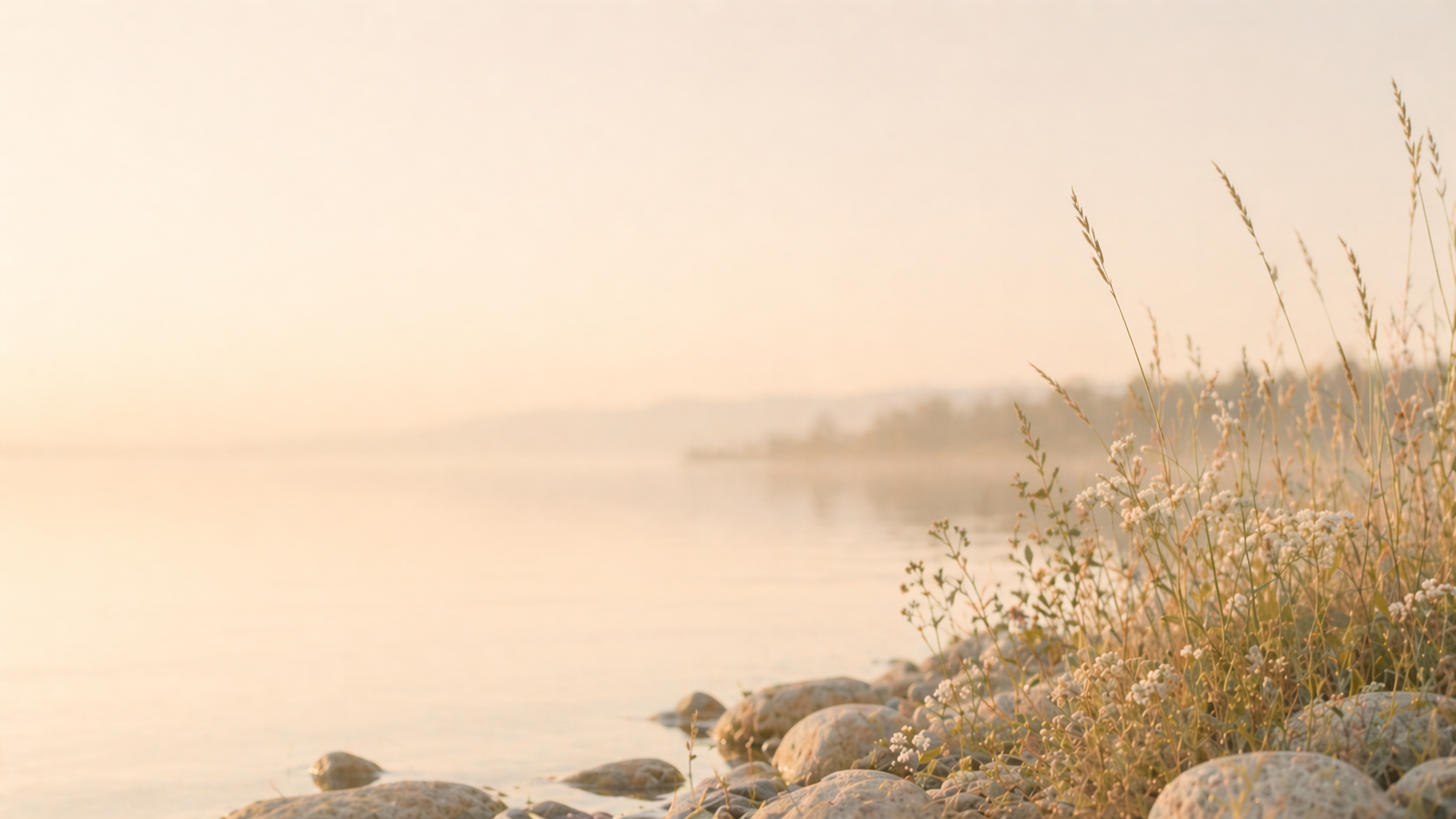 Smooth pale shoreline stones with delicate grasses and white flowers beside still water.