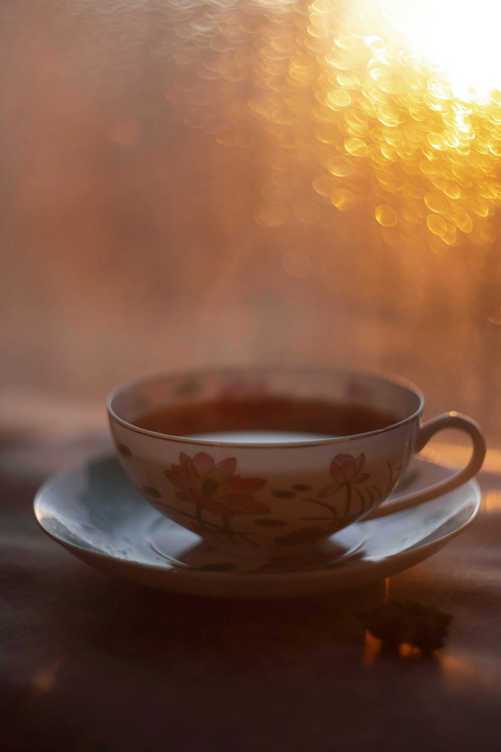 A tea cup in soft morning light by the window