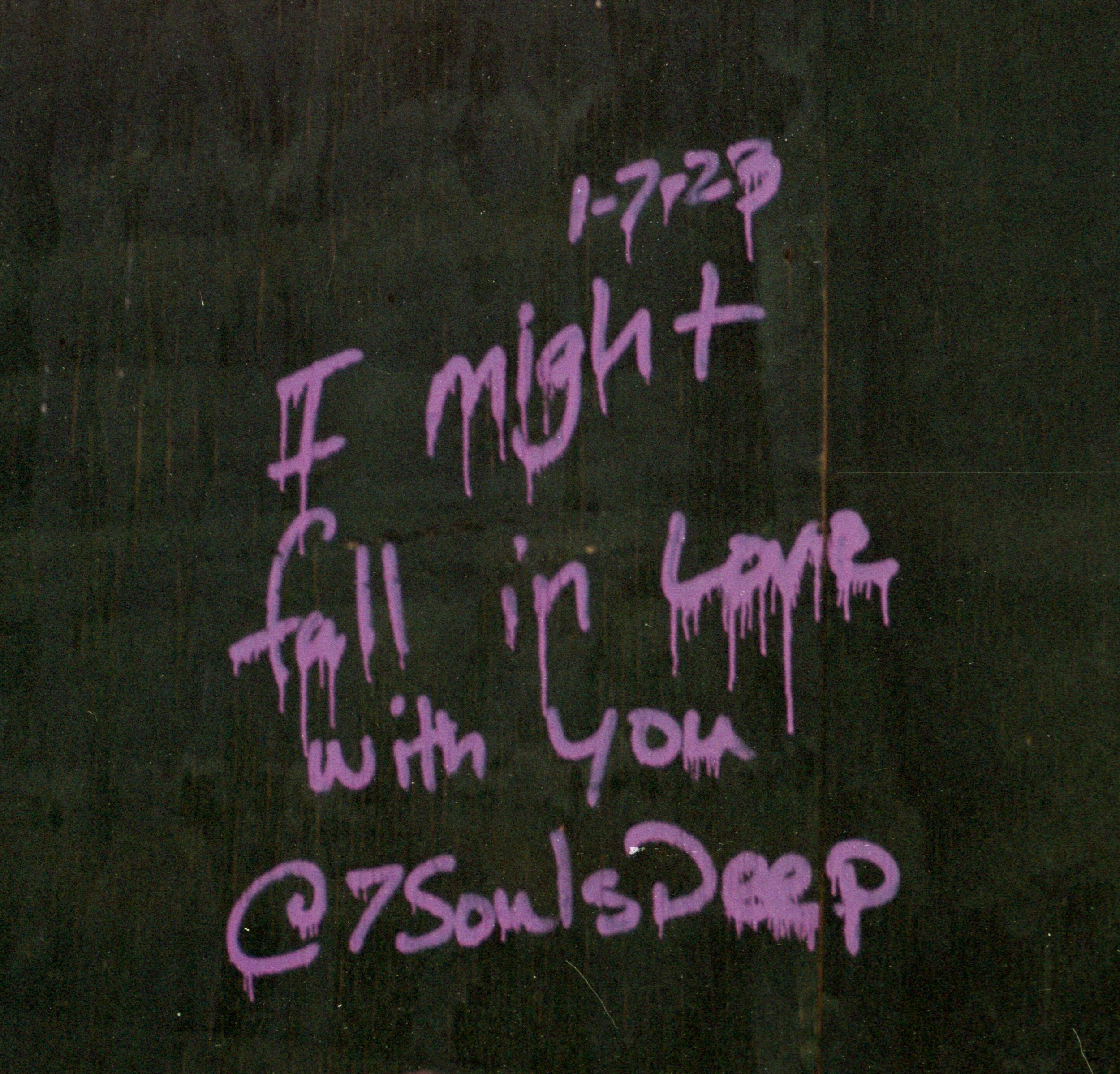 D.Ognoy-0012.jpg