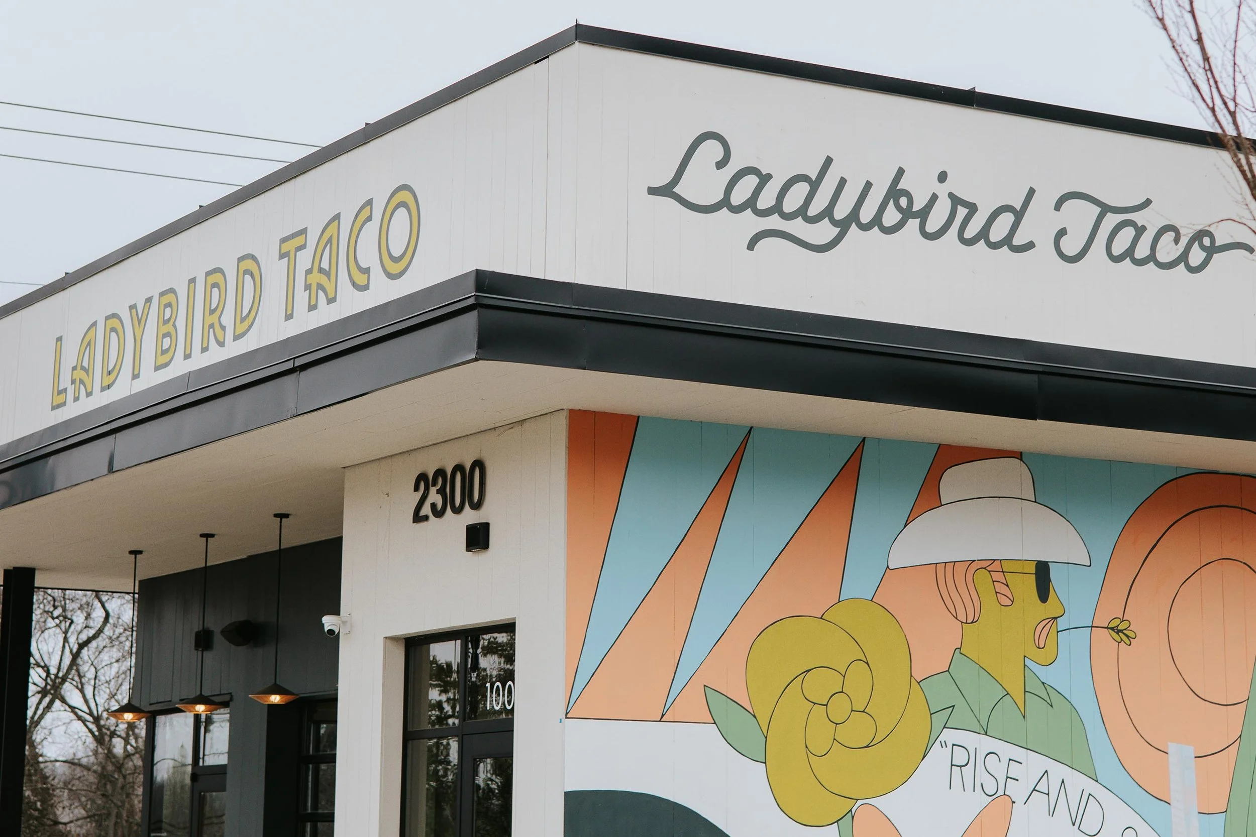 Ladybird Taco