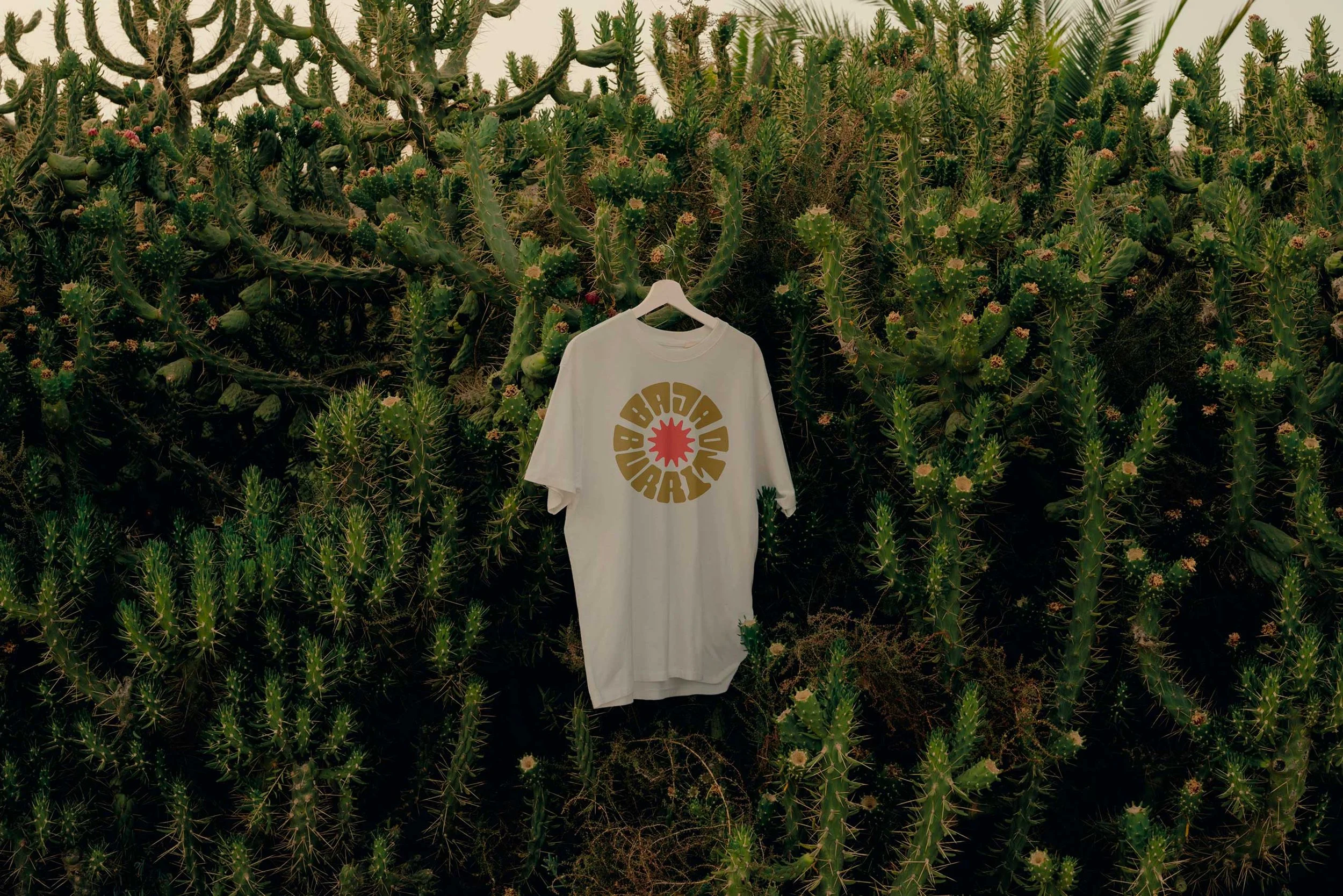 8-Baja-shirt-cacti.jpg