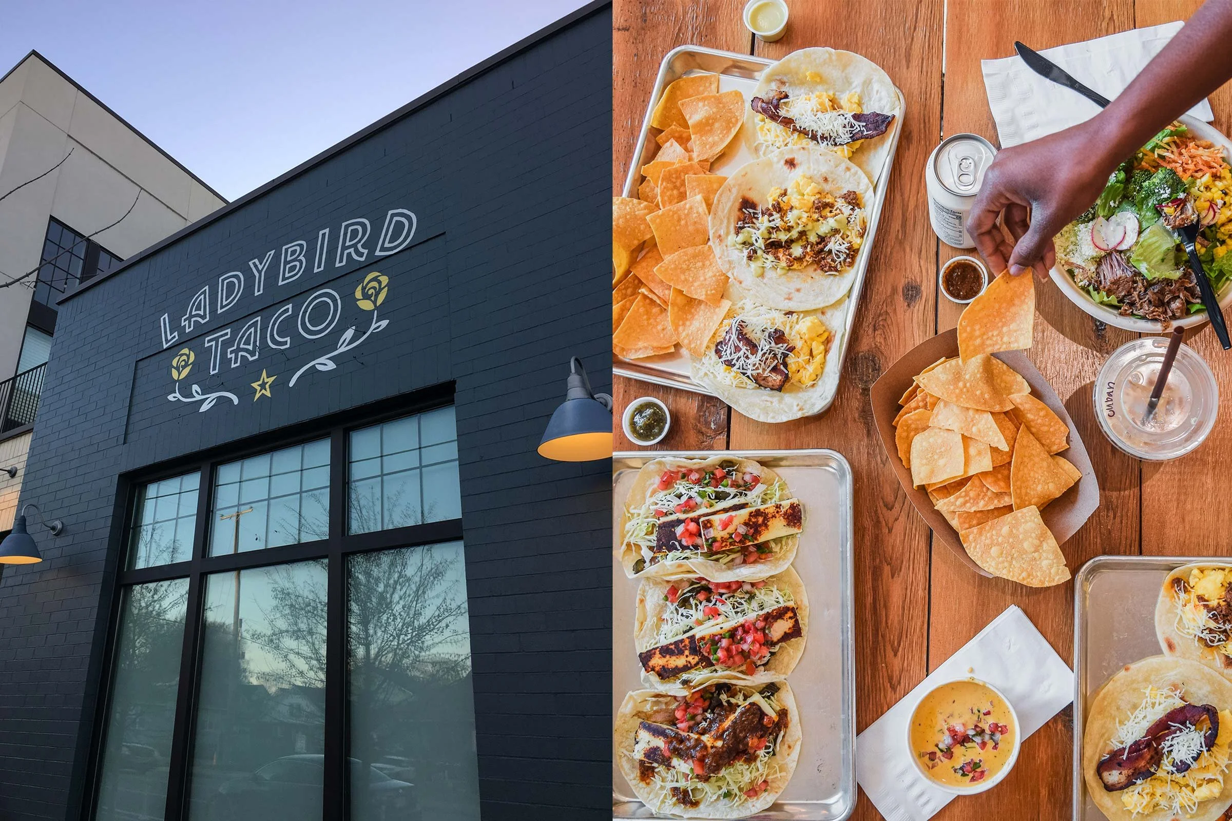 2_LADYBIRD_store_food.jpg