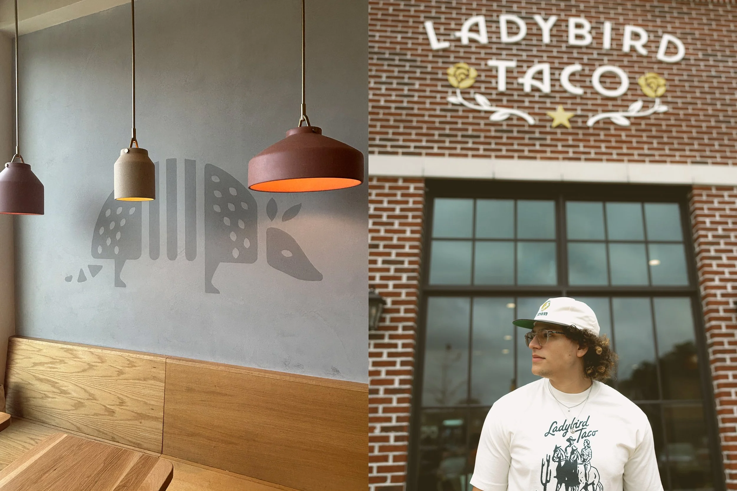 5_LADYBIRD_armadillo_exterior.jpg