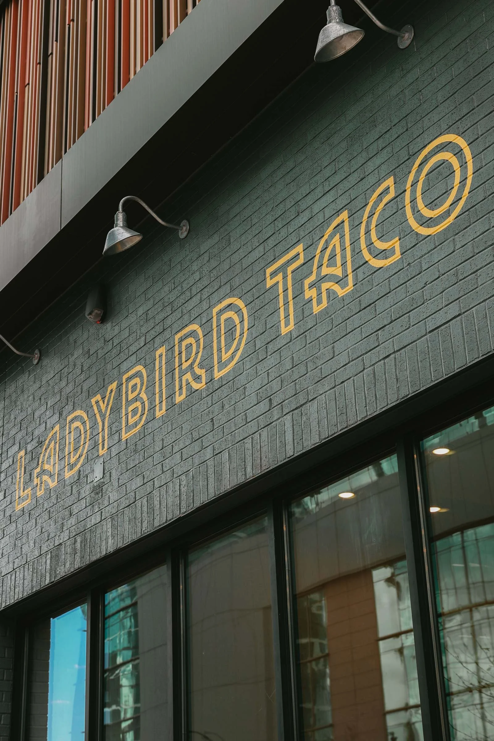 15_LADYBIRD_GULCH.jpg