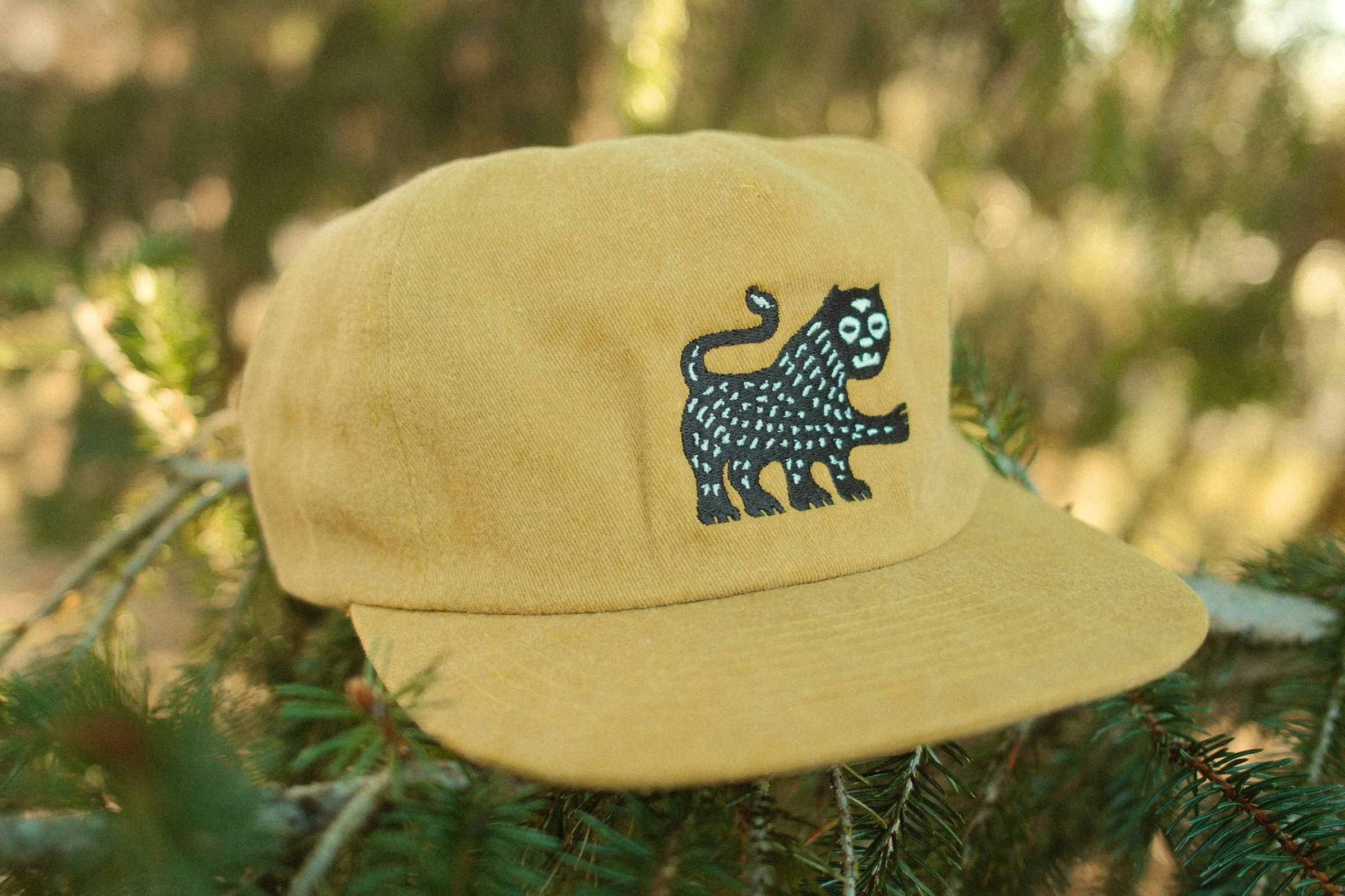 7_FLL_hat.jpg
