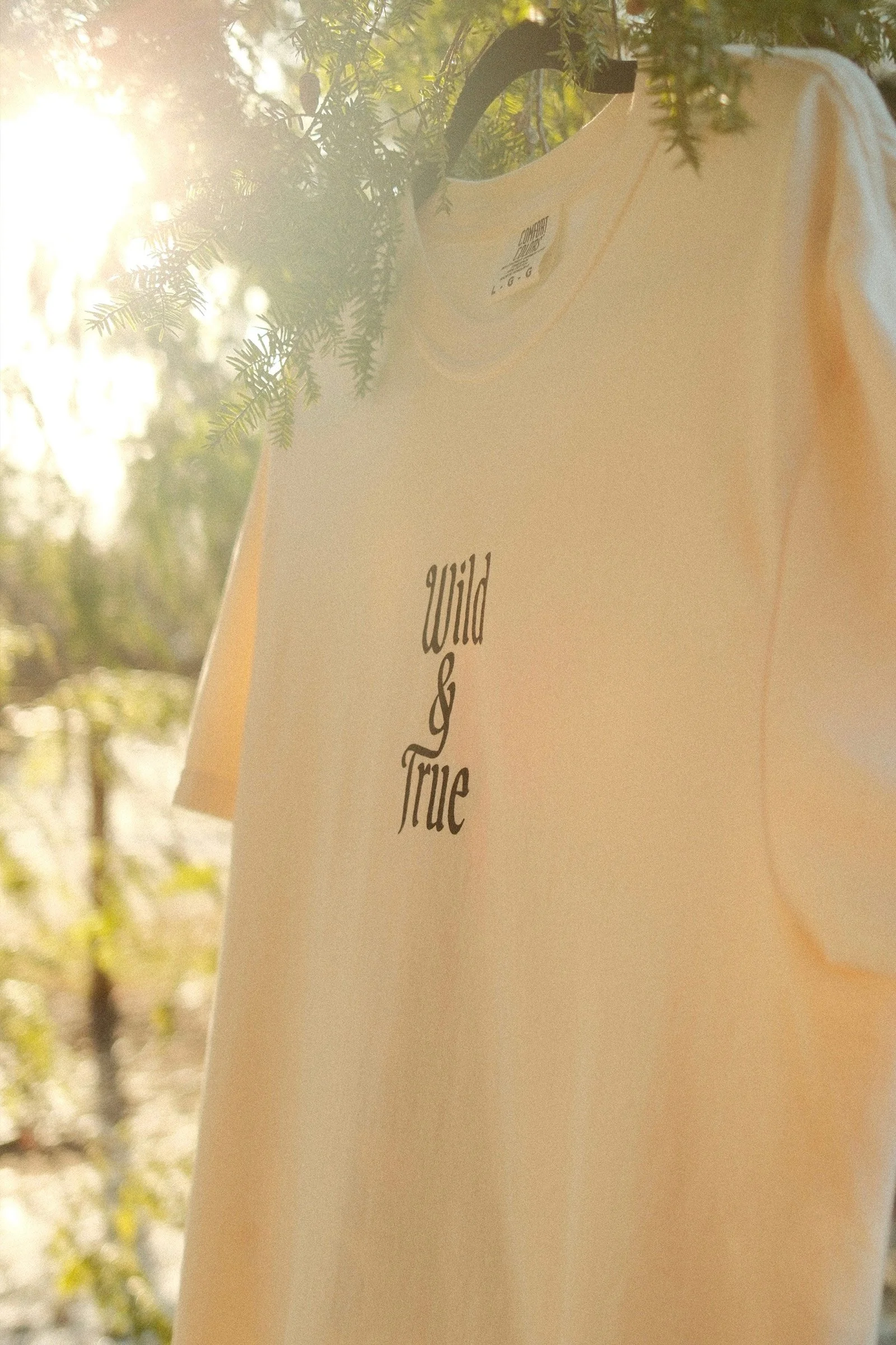 11_FLL_shirt_front.jpg