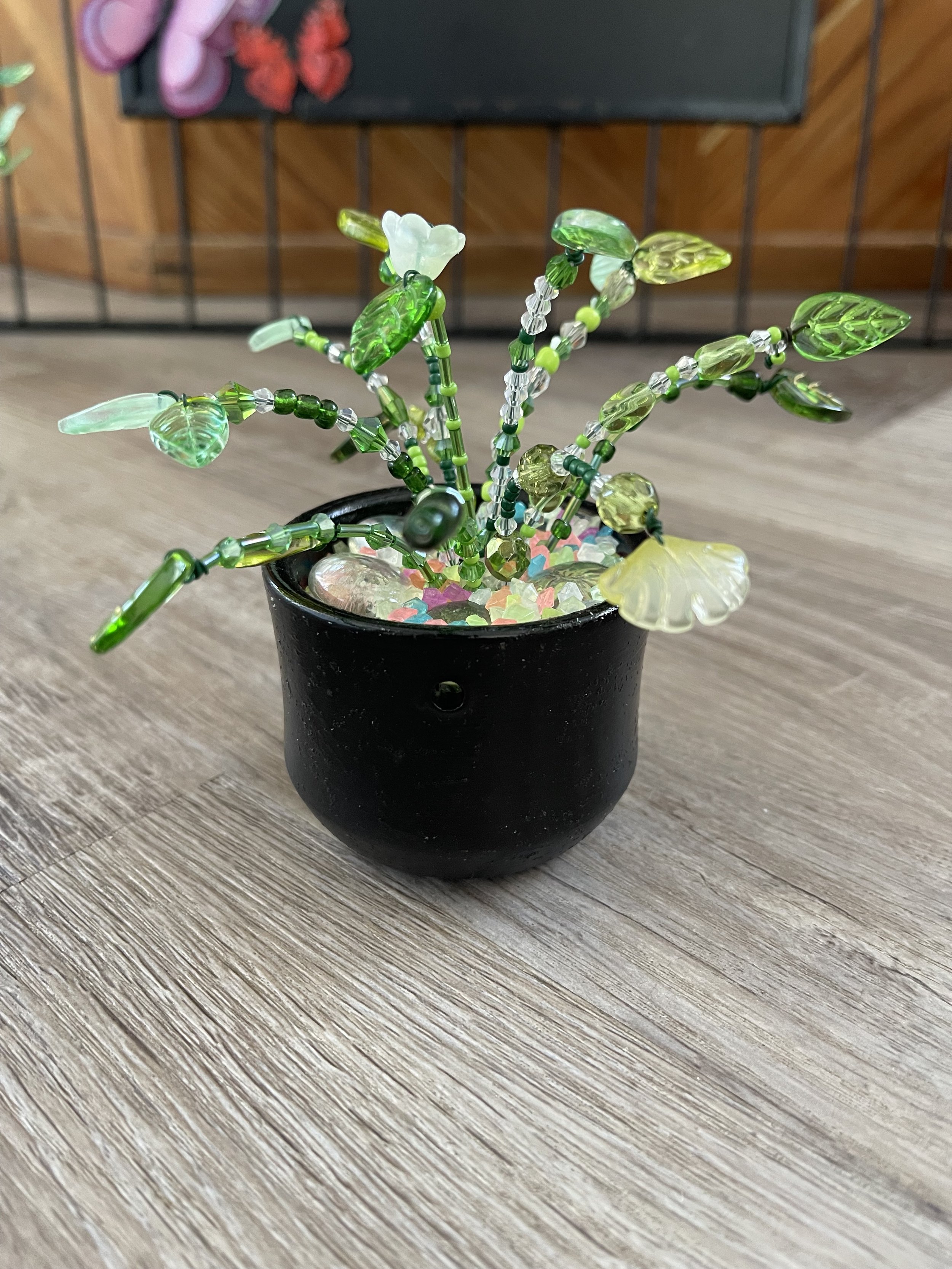 Forever plant