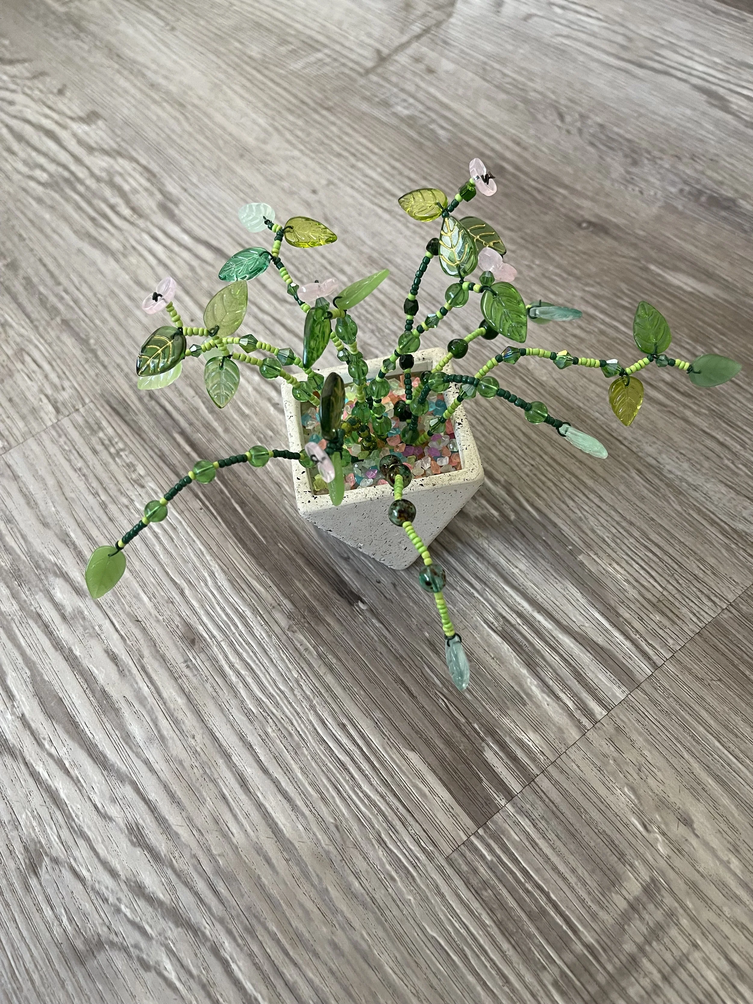 Forever Plant