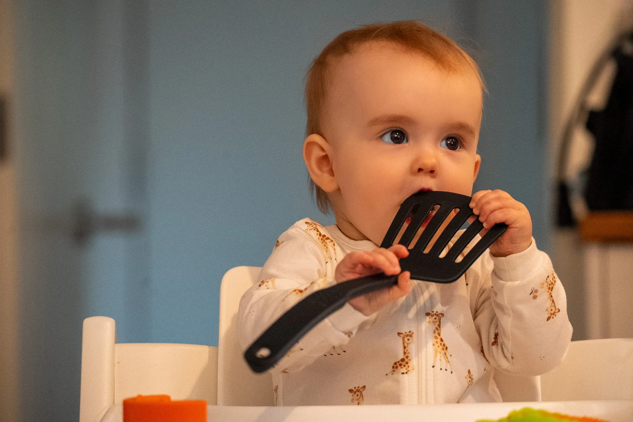 A young child with brown hair and blue eyes sitting in a high chair, holding a black spatula in their hands, wearing a cream-colored shirt with orange giraffe patterns, in a room with a blue wall.