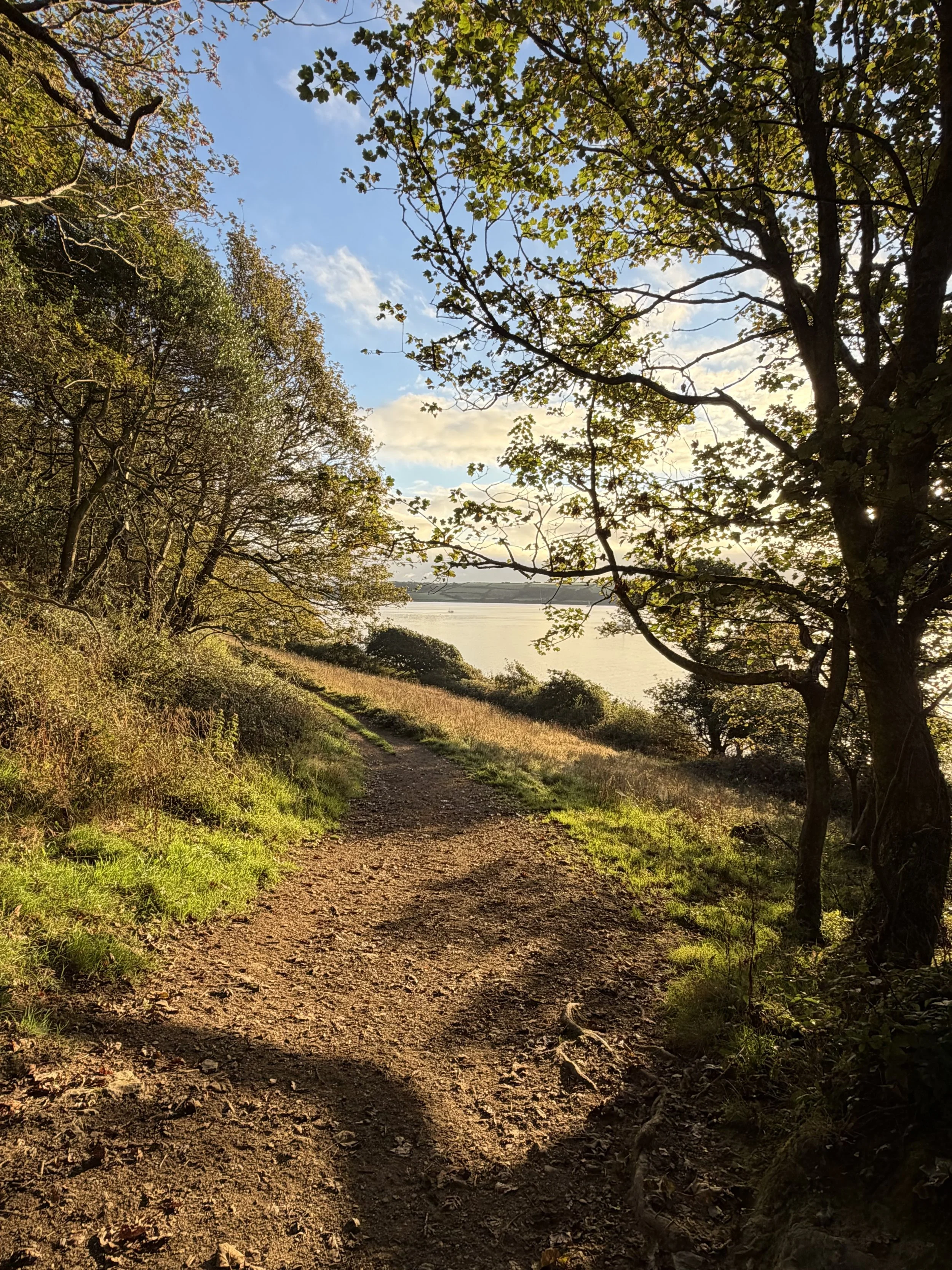 Dirt walking trail in a wooded area with trees and green foliage, leading toward water in the distance, under a partly cloudy sky during sunset.