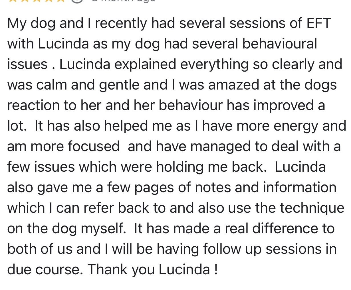 Text about a dog's behavior and progress after EFT sessions with Lucinda, including positive changes and future follow-up.