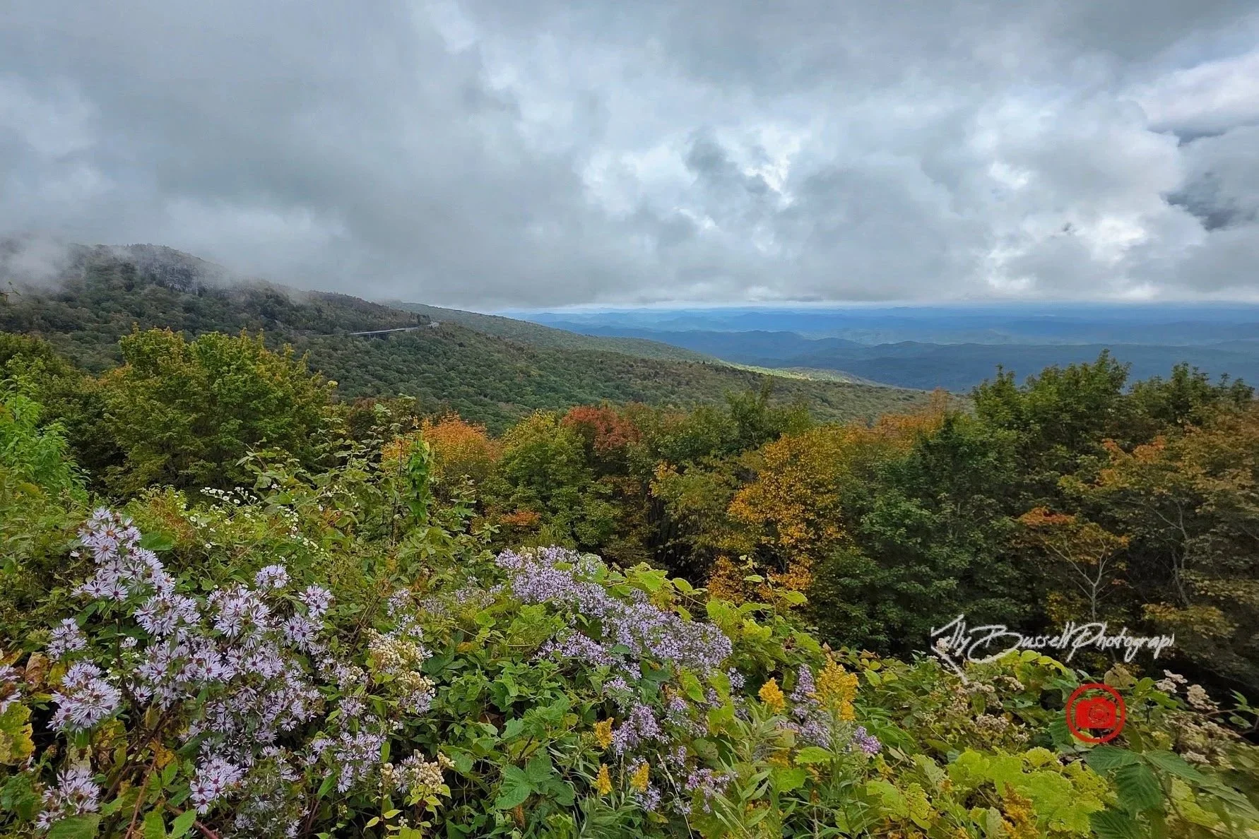 Mountain landscape with cloudy sky, lush green trees, and purple wildflowers in the foreground.
