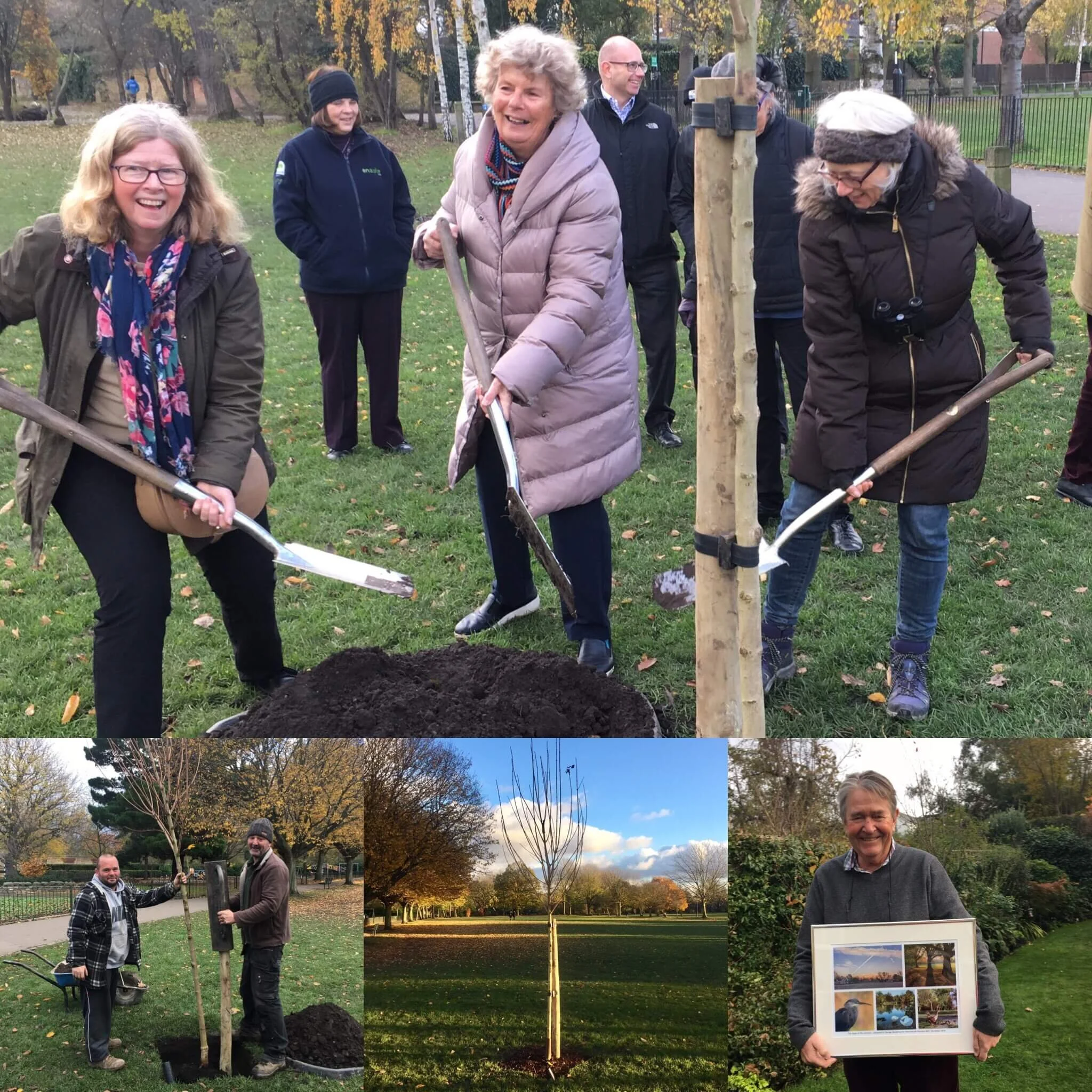November round-up: Tree planting season