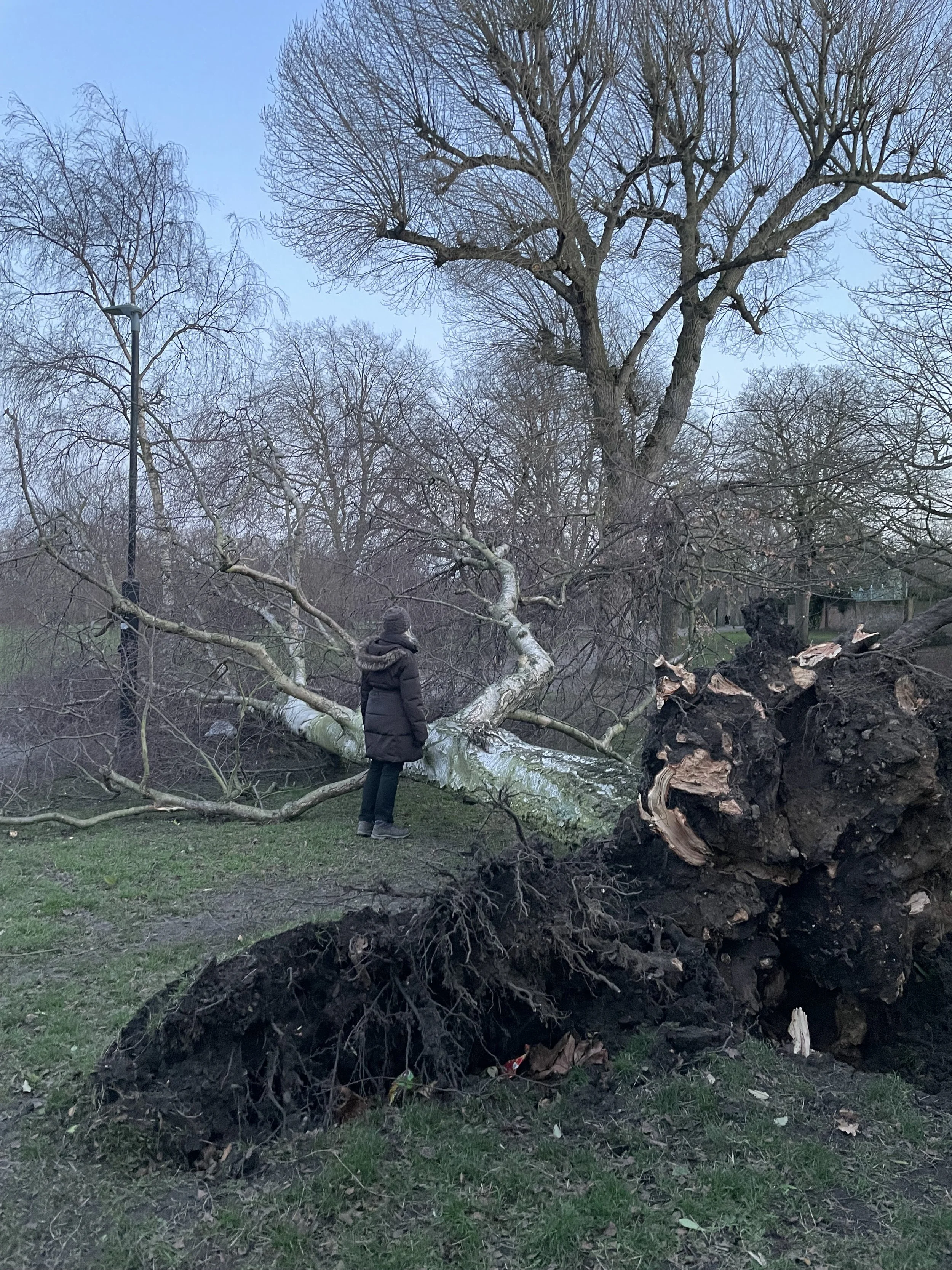 February round-up: Storm of 2022