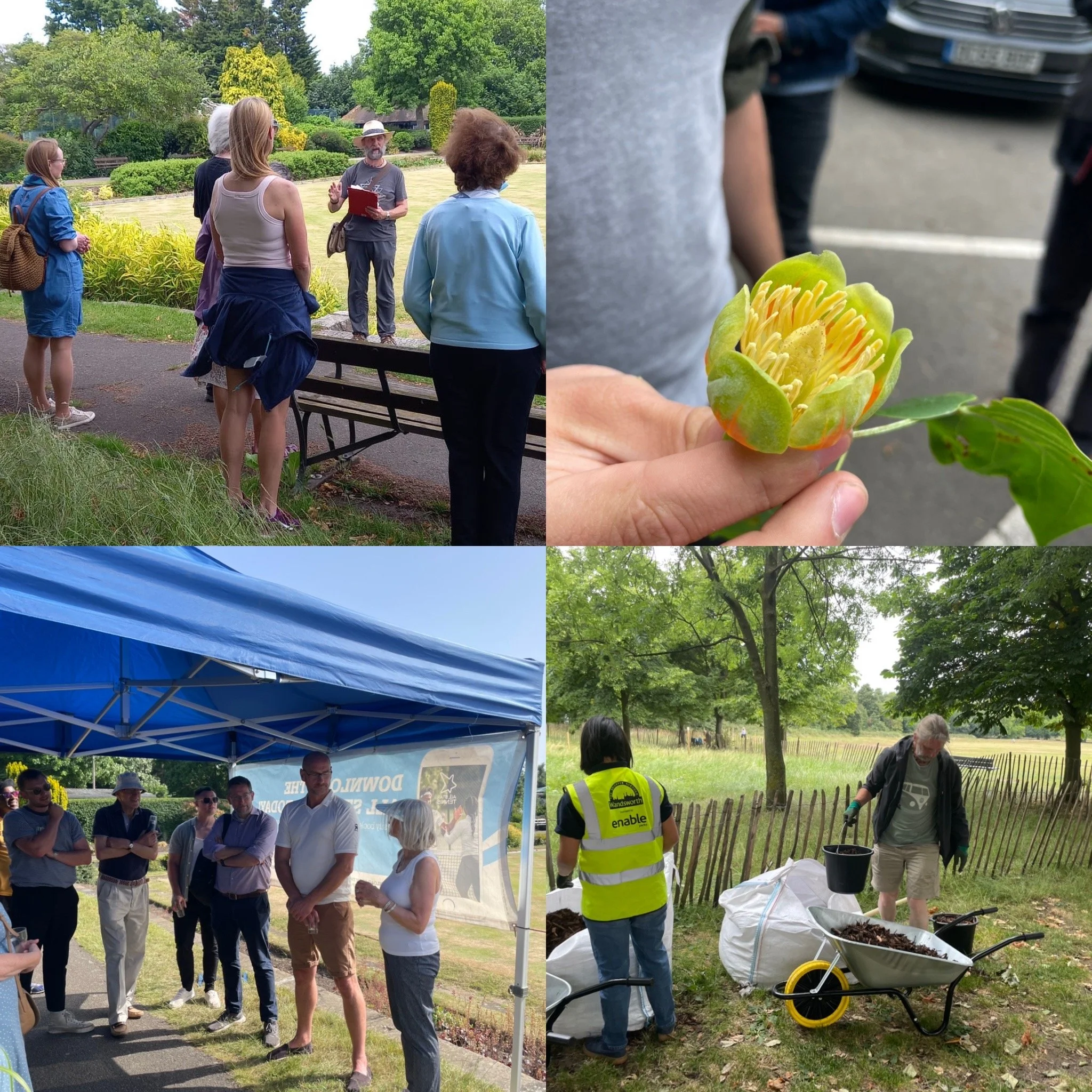 June round-up: Meeting the Council's new Environment team