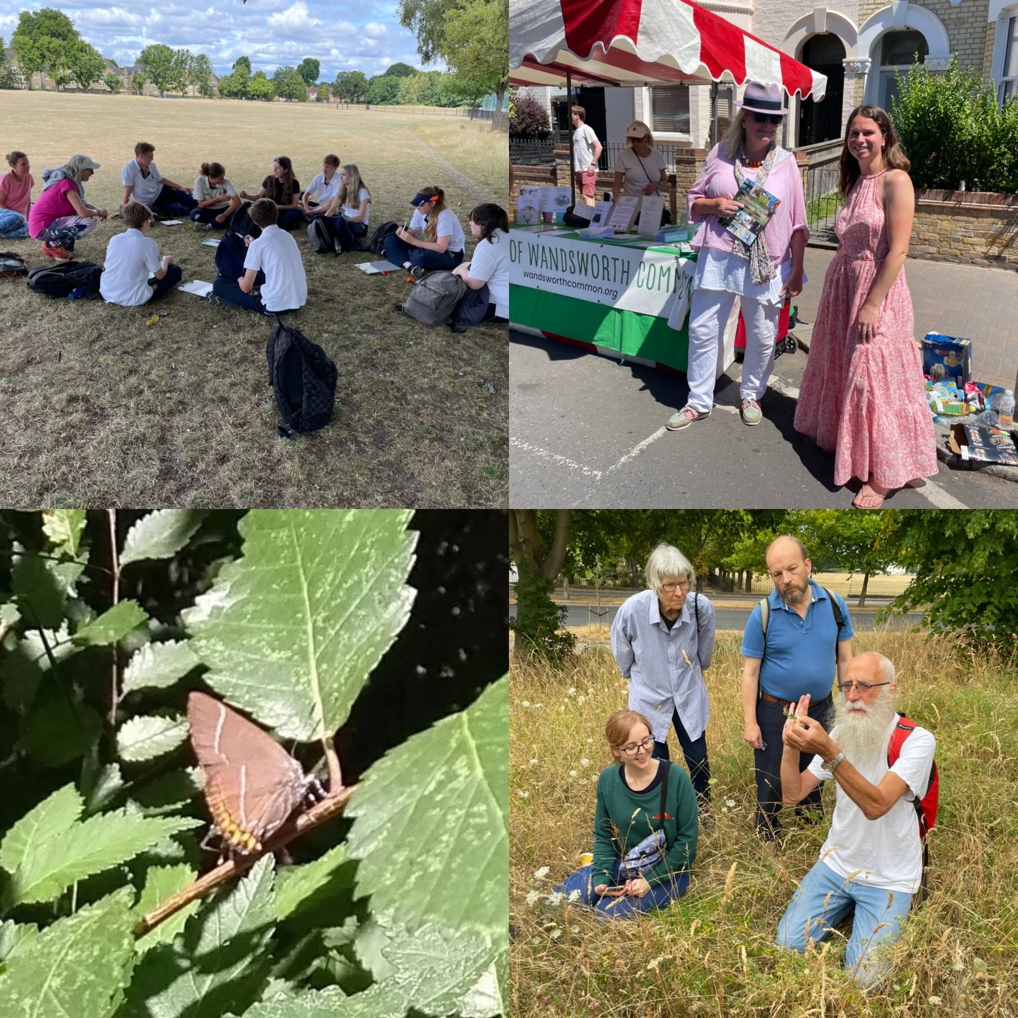 July round-up: Walks in a heatwave