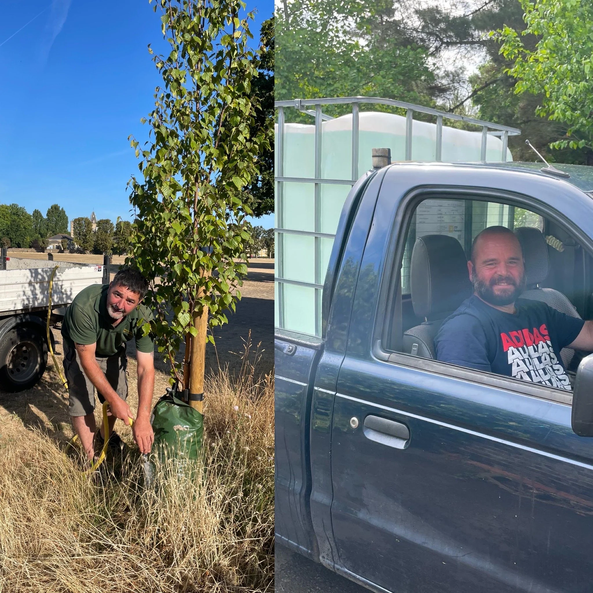 August round-up: Tree watering 