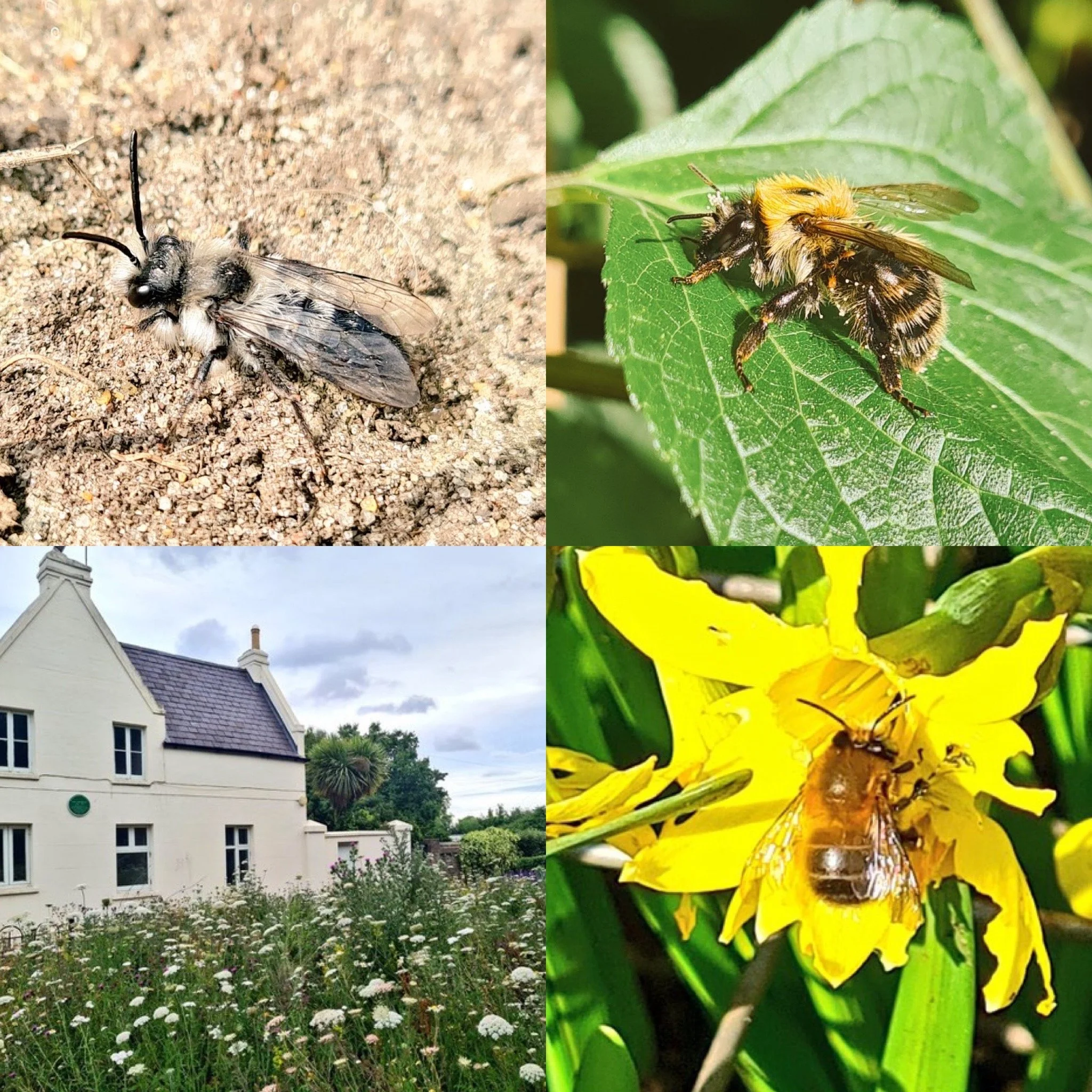 February round-up: Biodiversity in abundance